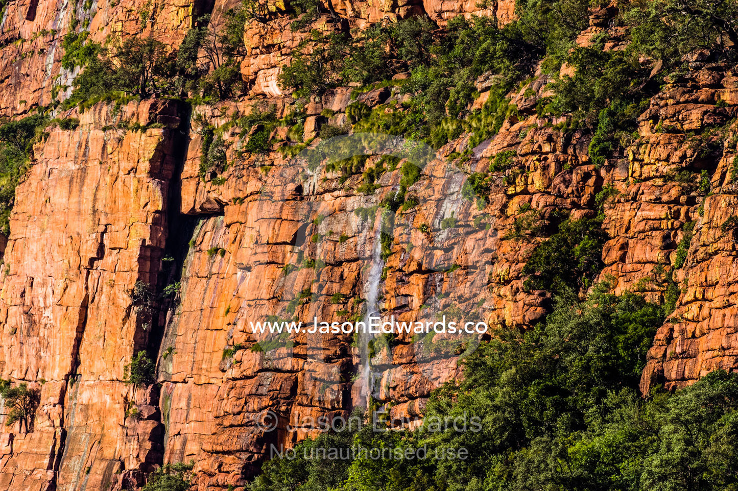 A waterfall cascades down a rugged cliff face into a forest below. Waterberg Mountains, Entabeni Game Reserve, Limpopo Province, South Africa.