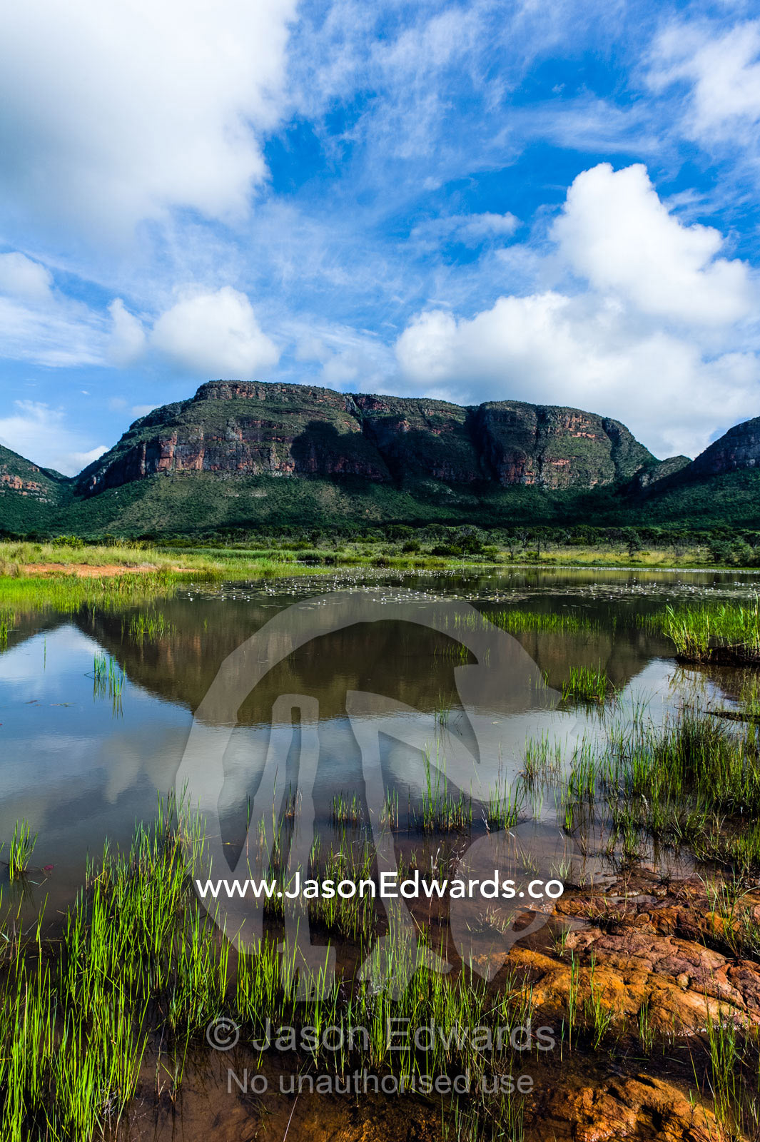 The reflection of a table-top mountain above a reed-lined wetland. Waterberg Mountains, Entabeni Game Reserve, Limpopo Province, South Africa.