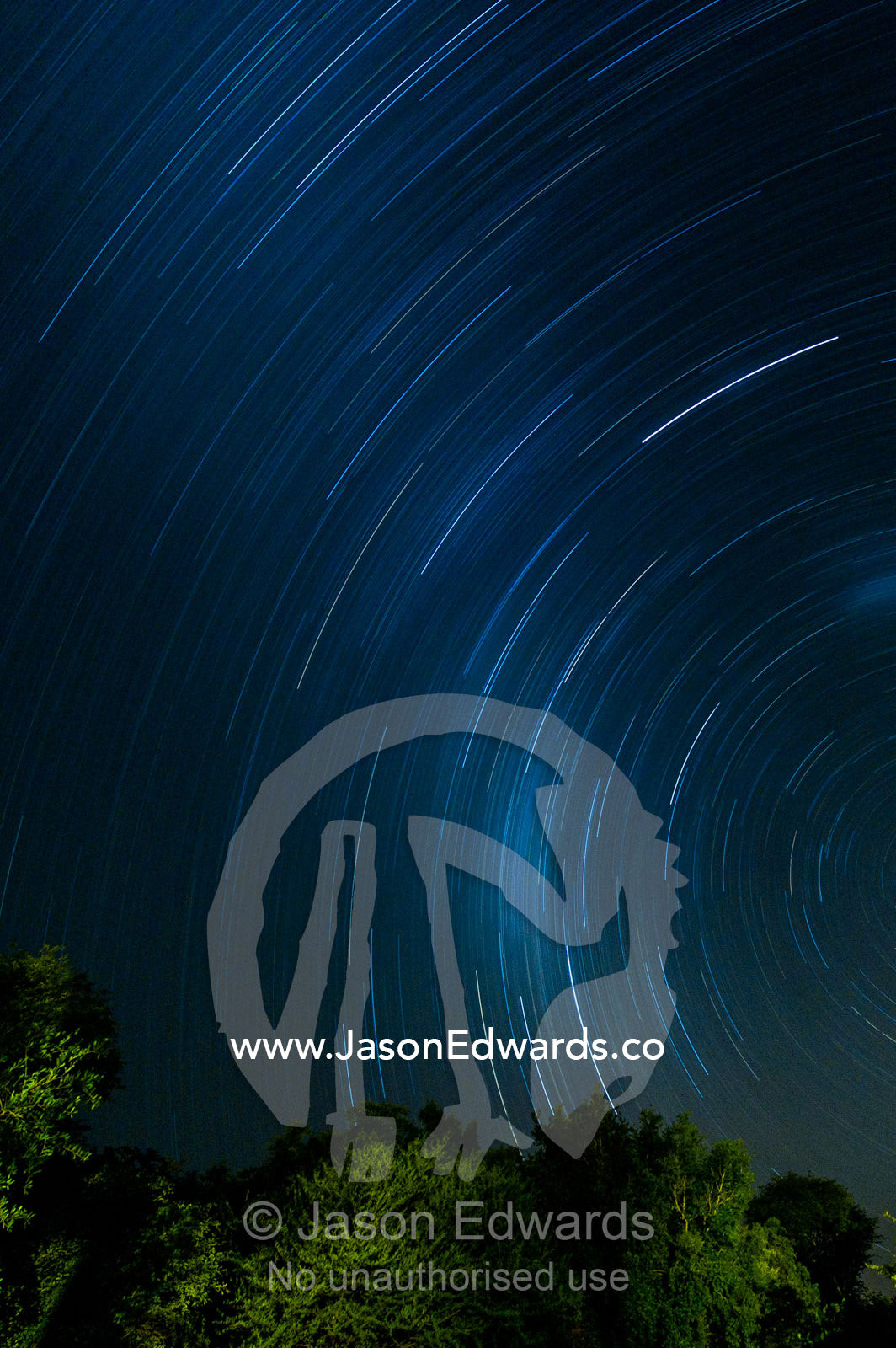 Star trails above a forest canopy. Kruger National Park, Manyeleti Game Reserve, Limpopo Province, Mpumalanga Province, South Africa.