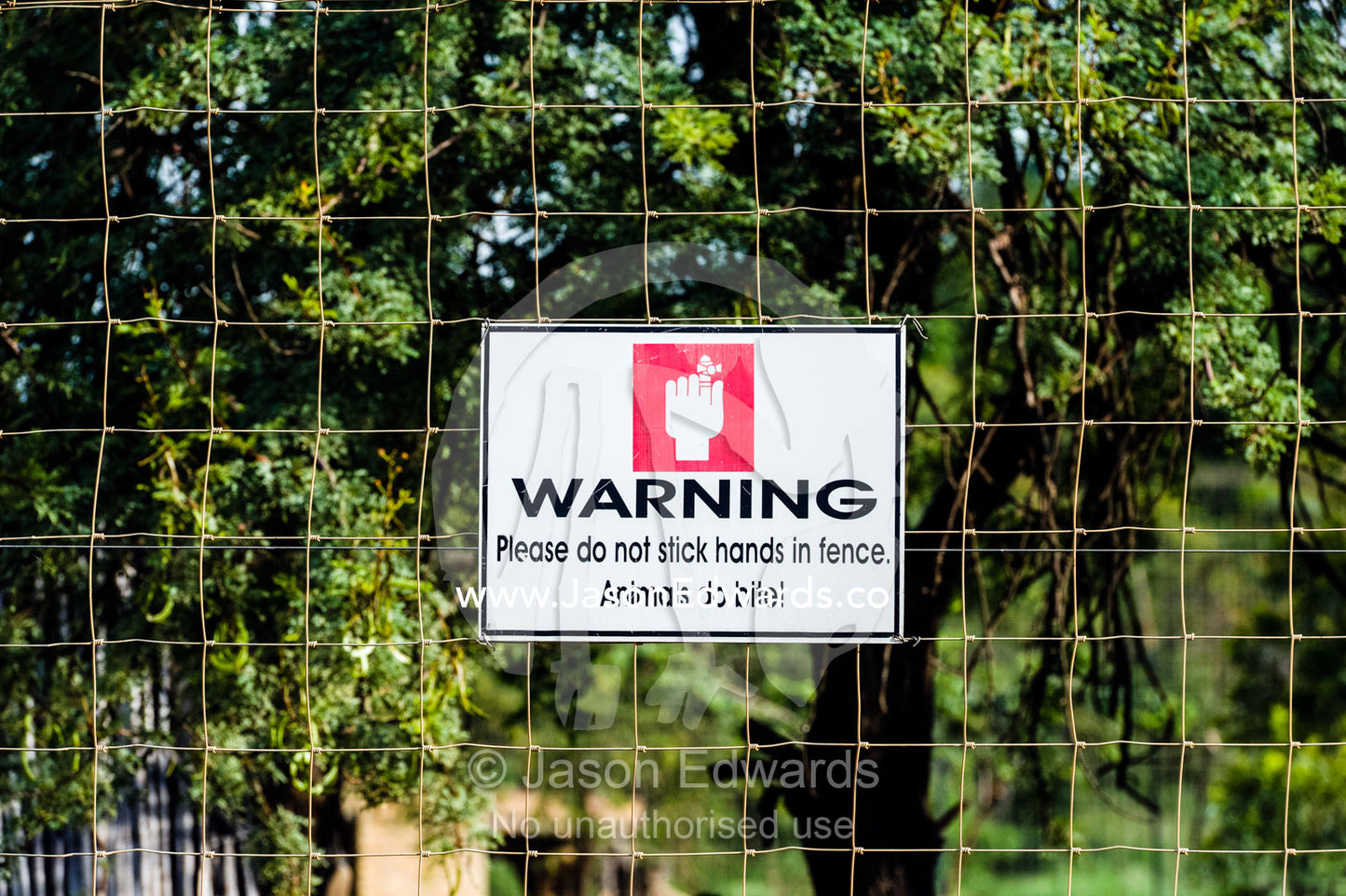 A biting warning sign on a lion cage at an African safari lodge. The Farm Inn, Pretoria, Gauteng Province, South Africa.
