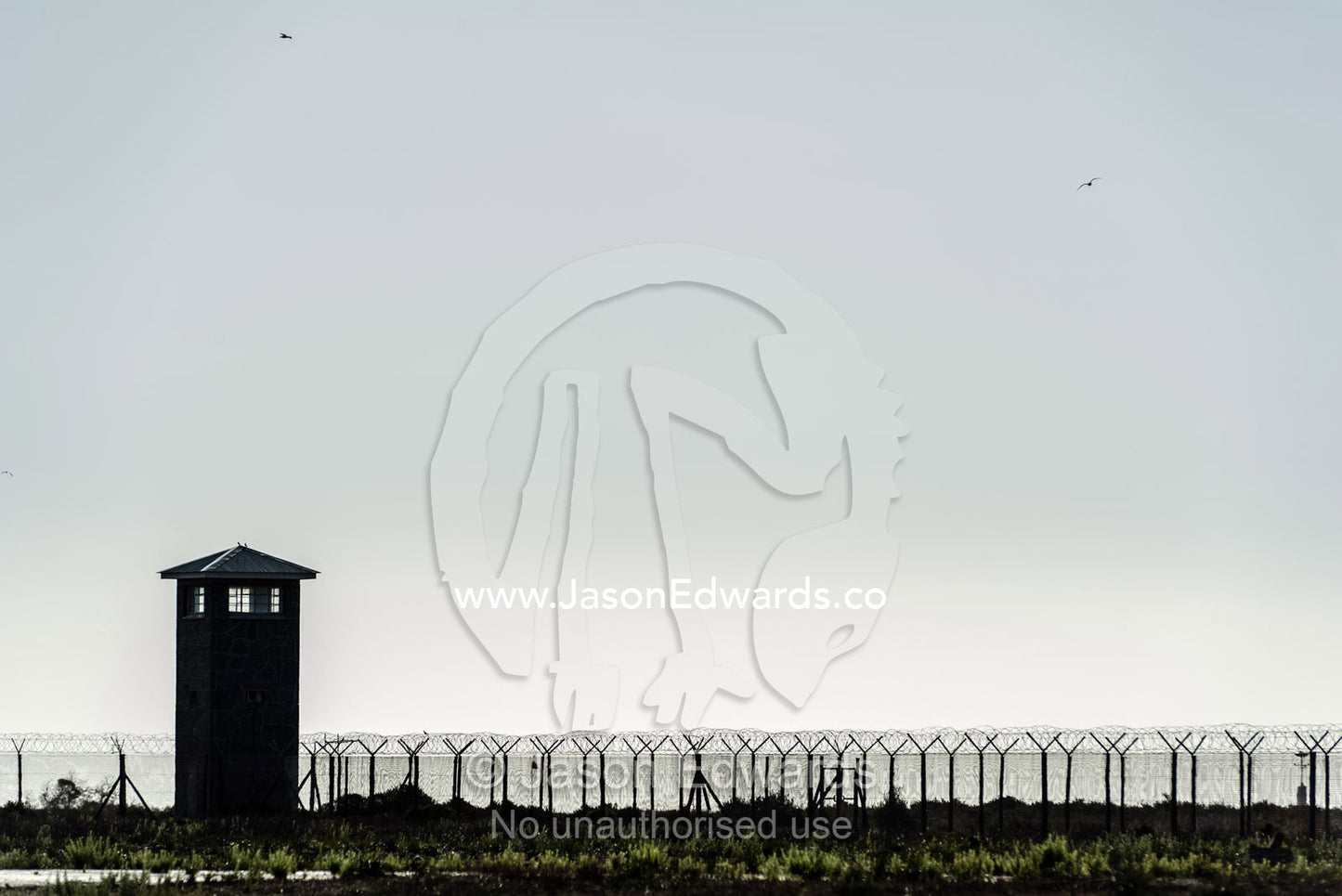 Rows of steel and wire mesh fencing surround a prison and guard tower. Robben Island, Cape Town, Bloubergstrand, Table Bay, Western Cape, South Africa.