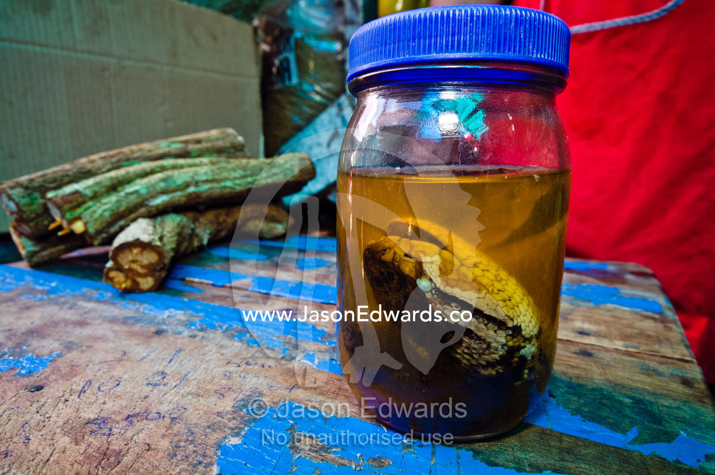 A South American Bushmaster head in alcohol for sale as traditional medicine in a black market. Belen Market, Iquitos, Amazon Basin, Loreto Region, Maynas Province, Peru.