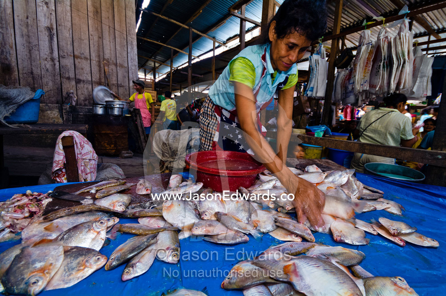 A woman sorting fruit-eating fish from the piranha family for sale in an Amazon River market. Belen Market, Iquitos, Amazon Basin, Loreto Region, Maynas Province, Peru.