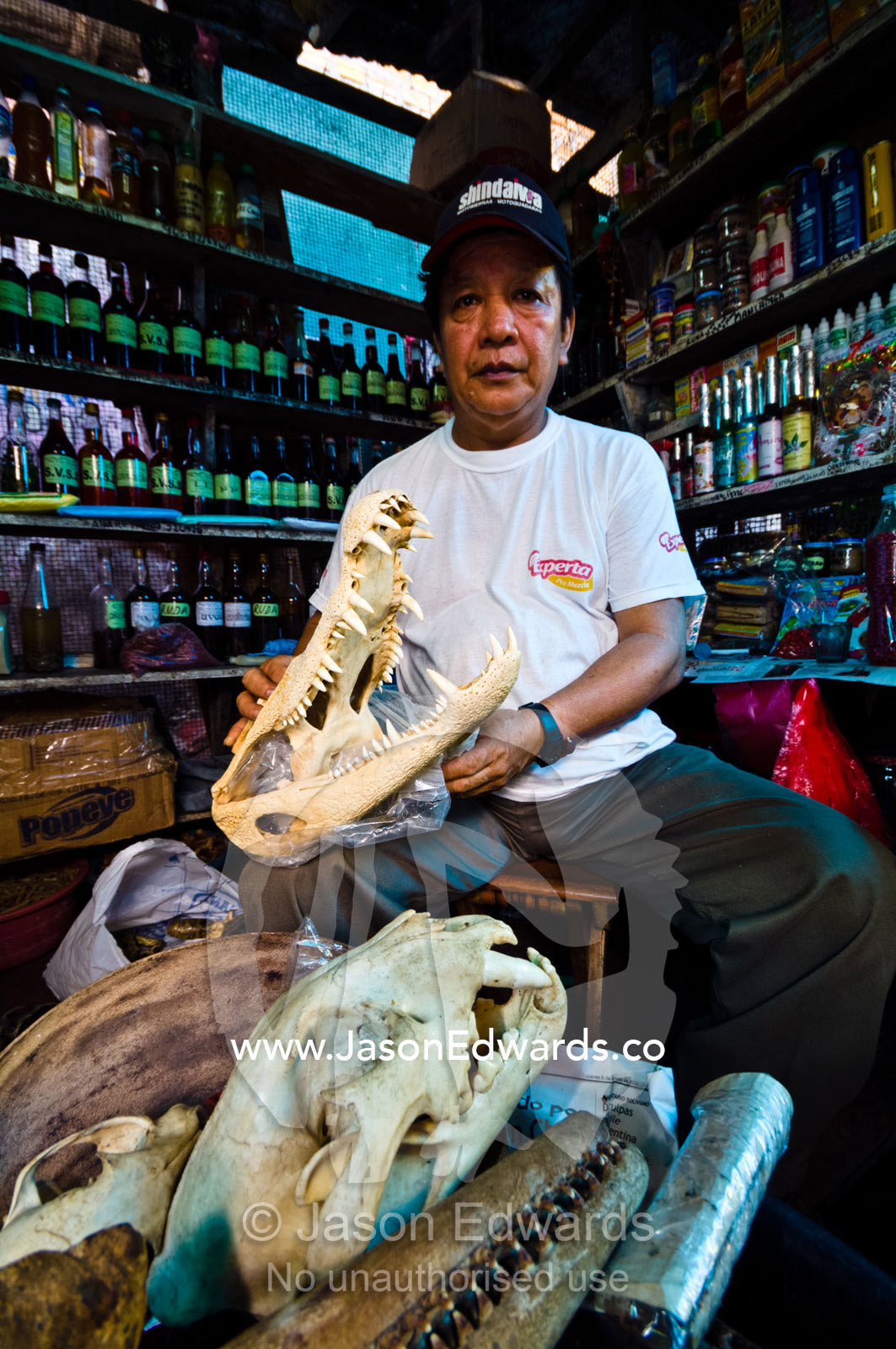 A shop owner displays Caiman, Jaguar and River Dolphin skulls for sale for traditional medicine. Belen Market, Iquitos, Amazon Basin, Loreto Region, Maynas Province, Peru.
