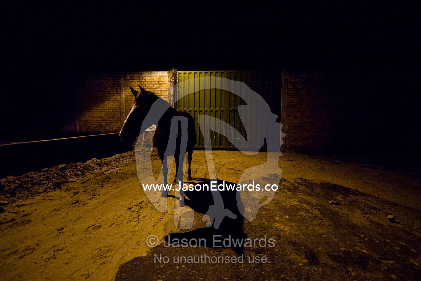 A horse stands beneath a street lamp outside the gate to a cement factory in an Amazon River town. Iquitos, Amazon Basin, Loreto Region, Maynas Province, Peru.