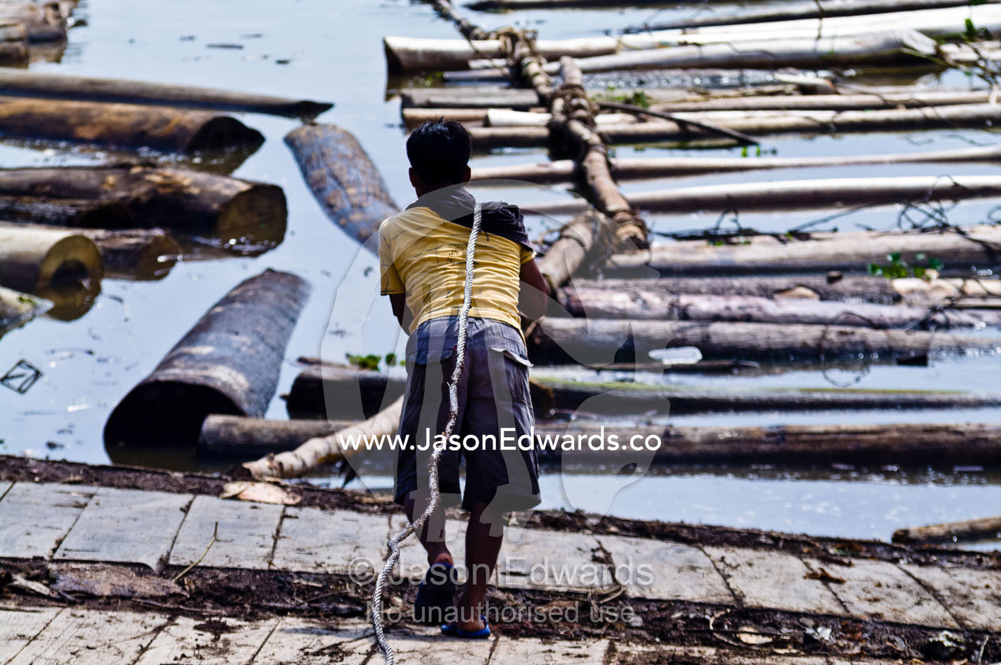 A laborer tows a heavy steel cable to the shore of the Amazon River to pull logs from a barge. Puerto Masusa, Iquitos, Amazon River, Rio Amazonas, Amazon Basin, Loreto Region, Maynas Province, Peru.