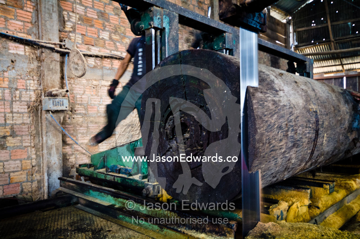 A band saw slices through a tree trunk cut from the Amazon rainforest in a logging mill. Puerto Masusa, Iquitos, Amazon Basin, Loreto Region, Maynas Province, Peru.