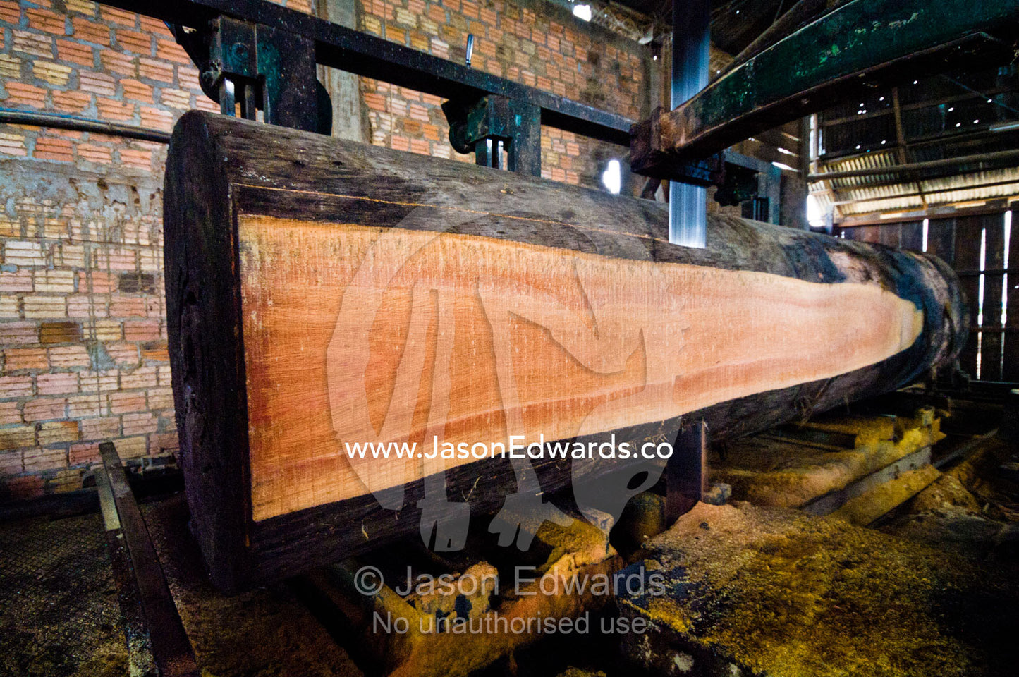 A large band saw slices planks from a rainforest tree in a logging mill. Puerto Masusa, Iquitos, Amazon Basin, Loreto Region, Maynas Province, Peru.