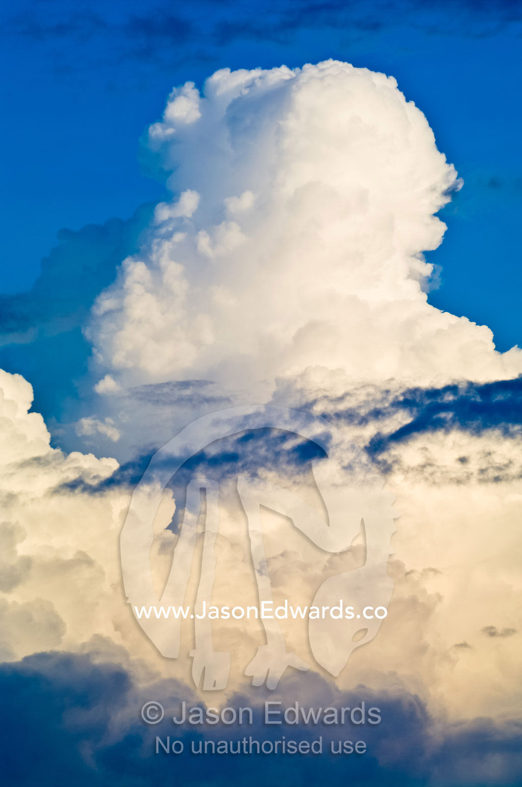 White thunderhead clouds billow into the sky as a storm brews above the Amazon rainforest. Parque de Quistococha, Quistococha Zoo, Iquitos, Amazon Basin, Loreto Region, Maynas Province, Peru.