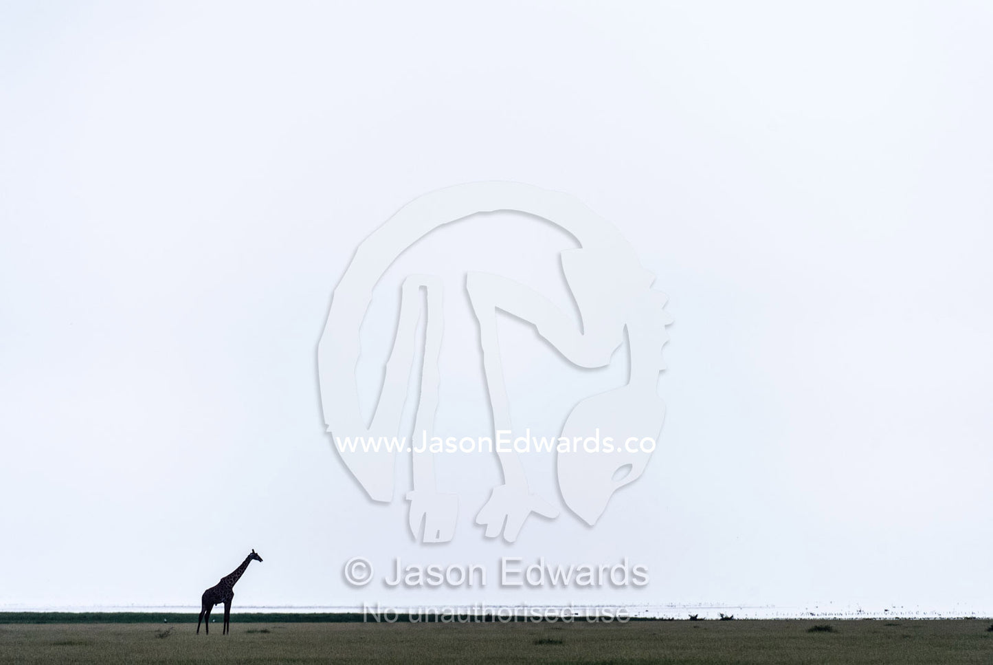 A solitary giraffe silhouette on the vast floodplain of a soda lake at midday. Lake Manyara National Park, Arusha Region, Tanzania.