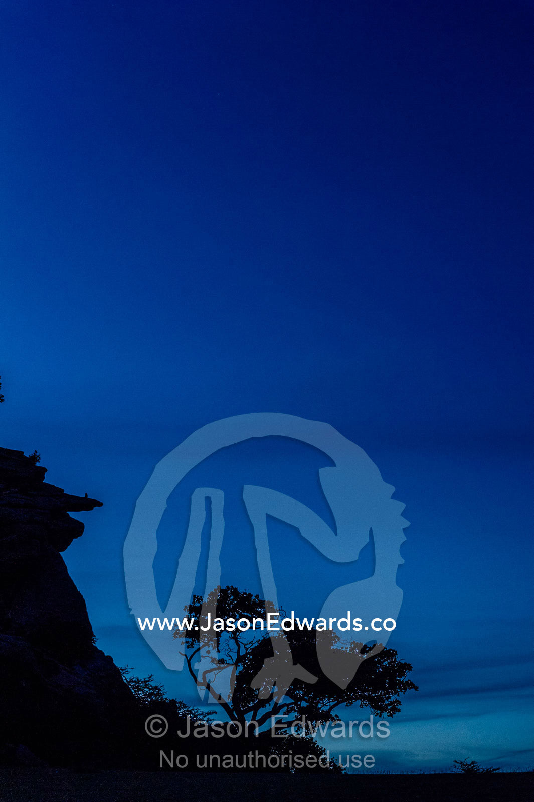 A Rock Fig on a cliff face silhouetted against the night sky. Arusha, Nasera Rock, Angata Kiti Valley, Ngorongoro Conservation Area, Crater Highlands, Tanzania.