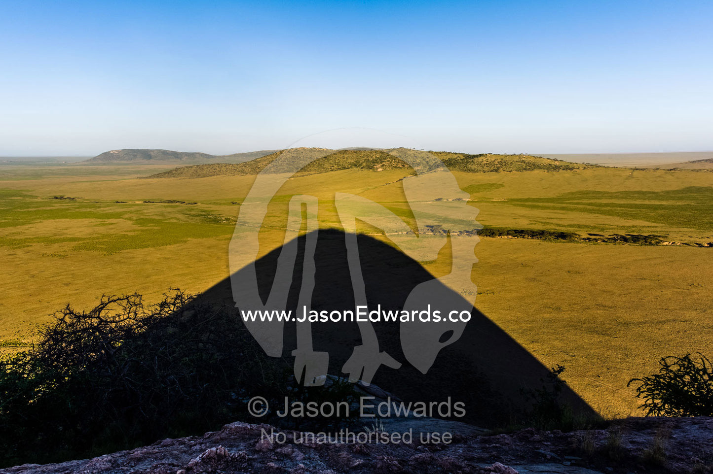 An enormous domed shadow from a rocky outcrop stretches across a savannah plain. Arusha, Nasera Rock, Angata Kiti Valley, Ngorongoro Conservation Area, Crater Highlands, Tanzania.
