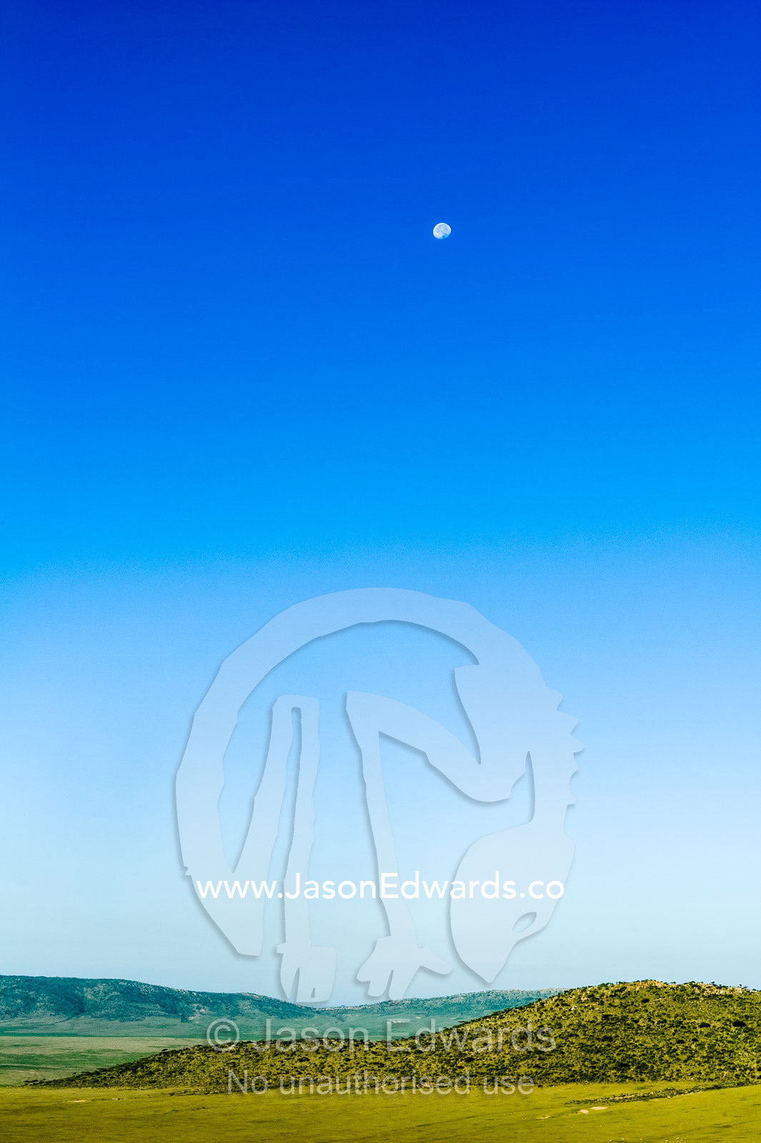Moonrise in a clear blue sky over a lush savannah plain and low rolling hills. Arusha, Nasera Rock, Angata Kiti Valley, Ngorongoro Conservation Area, Crater Highlands, Tanzania.