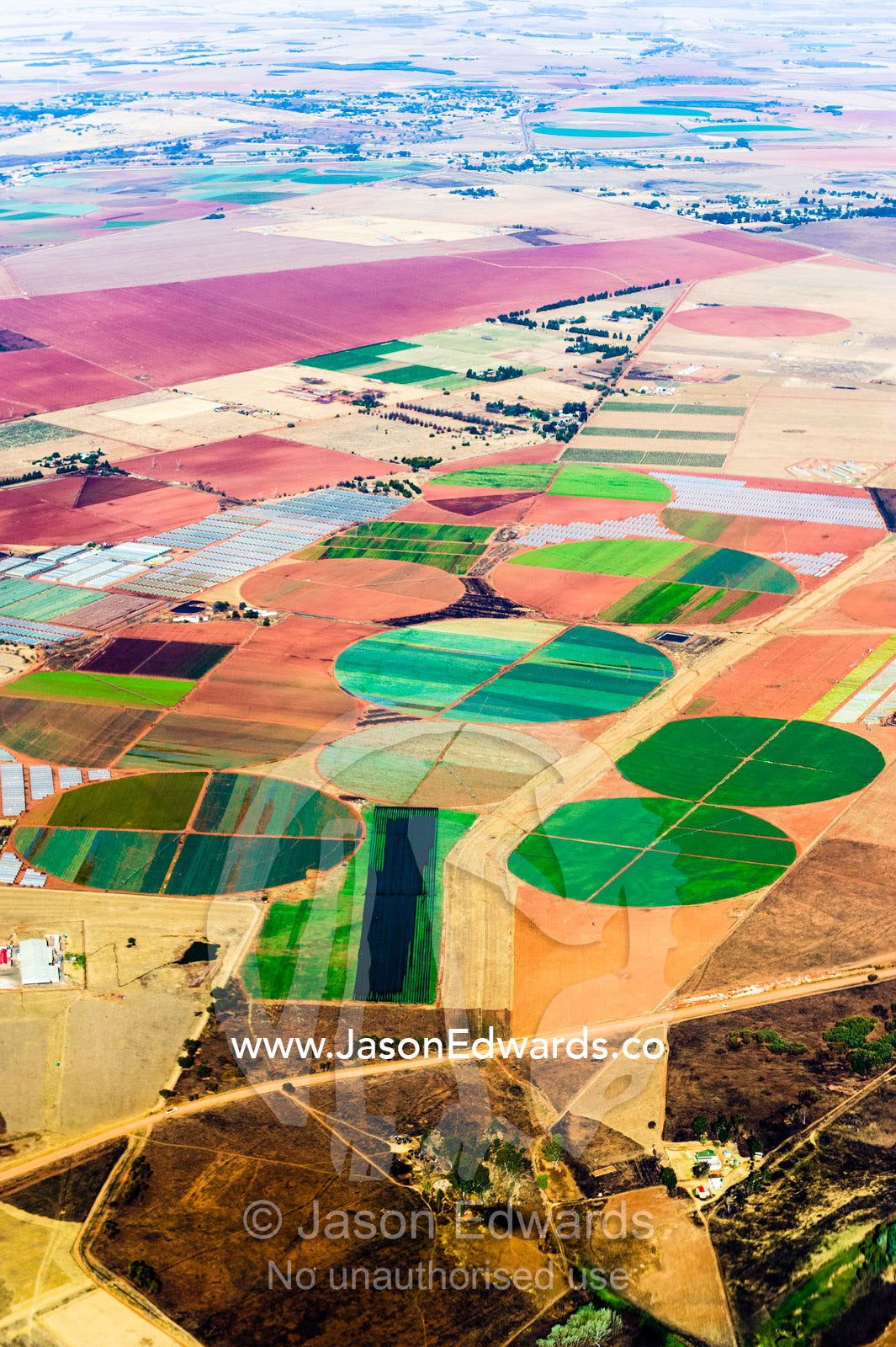 Irrigated agricultural crop circles surrounded by dry farmland and pasture. Johannesburg, Gauteng Province, South Africa, Africa.