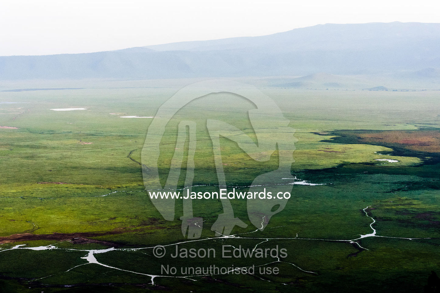 The lush savannah plain crossed by streams in an extinct volcano surrounded by a caldera wall. Ngorongoro Crater, Ngorongoro Conservation Area, Ngorongoro District, Tanzania.