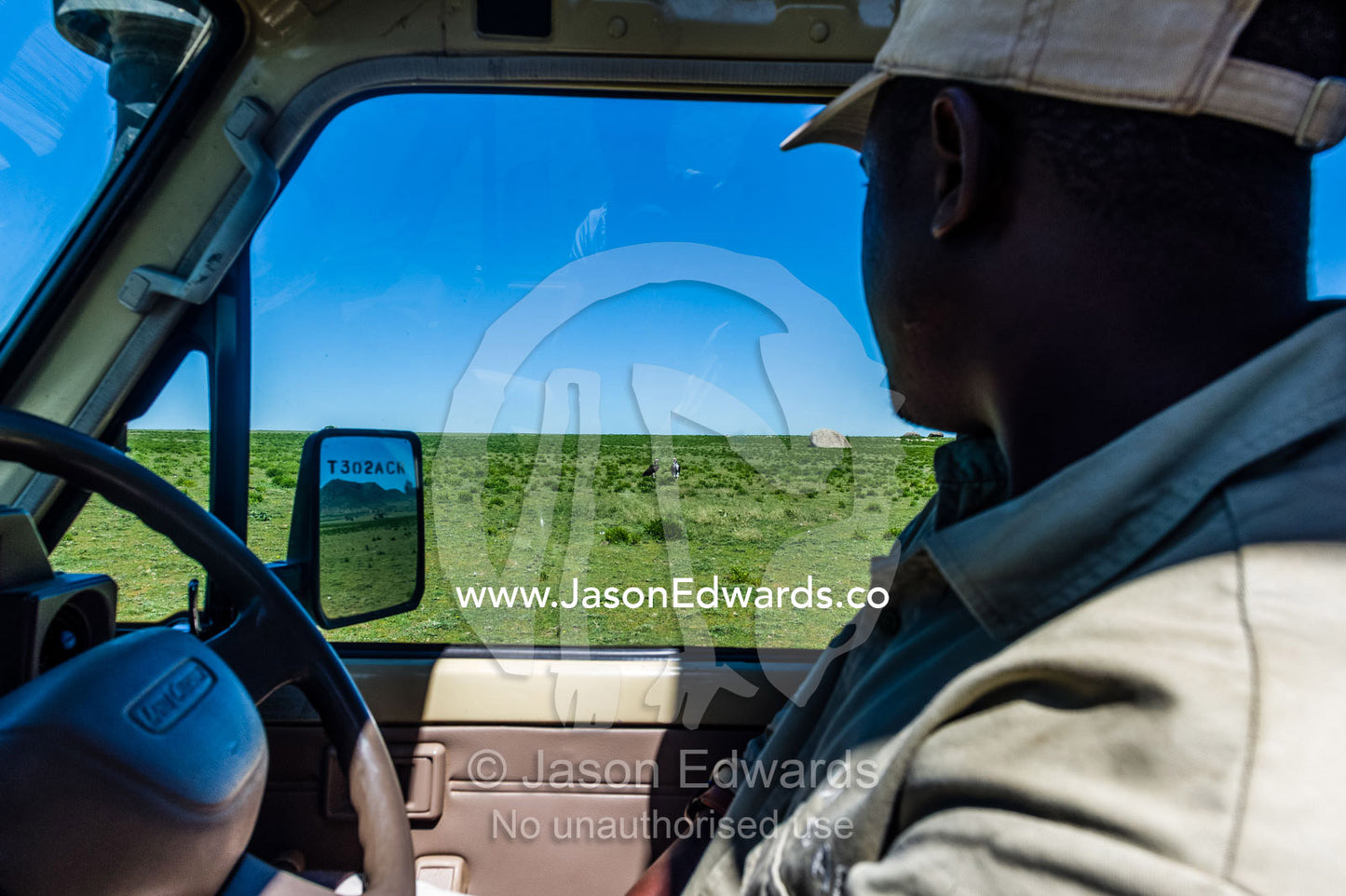 A safari guide observes vultures on the savannah plain whilst searching for wildlife. Ngorongoro Conservation Area, Ngorongoro District, Tanzania.