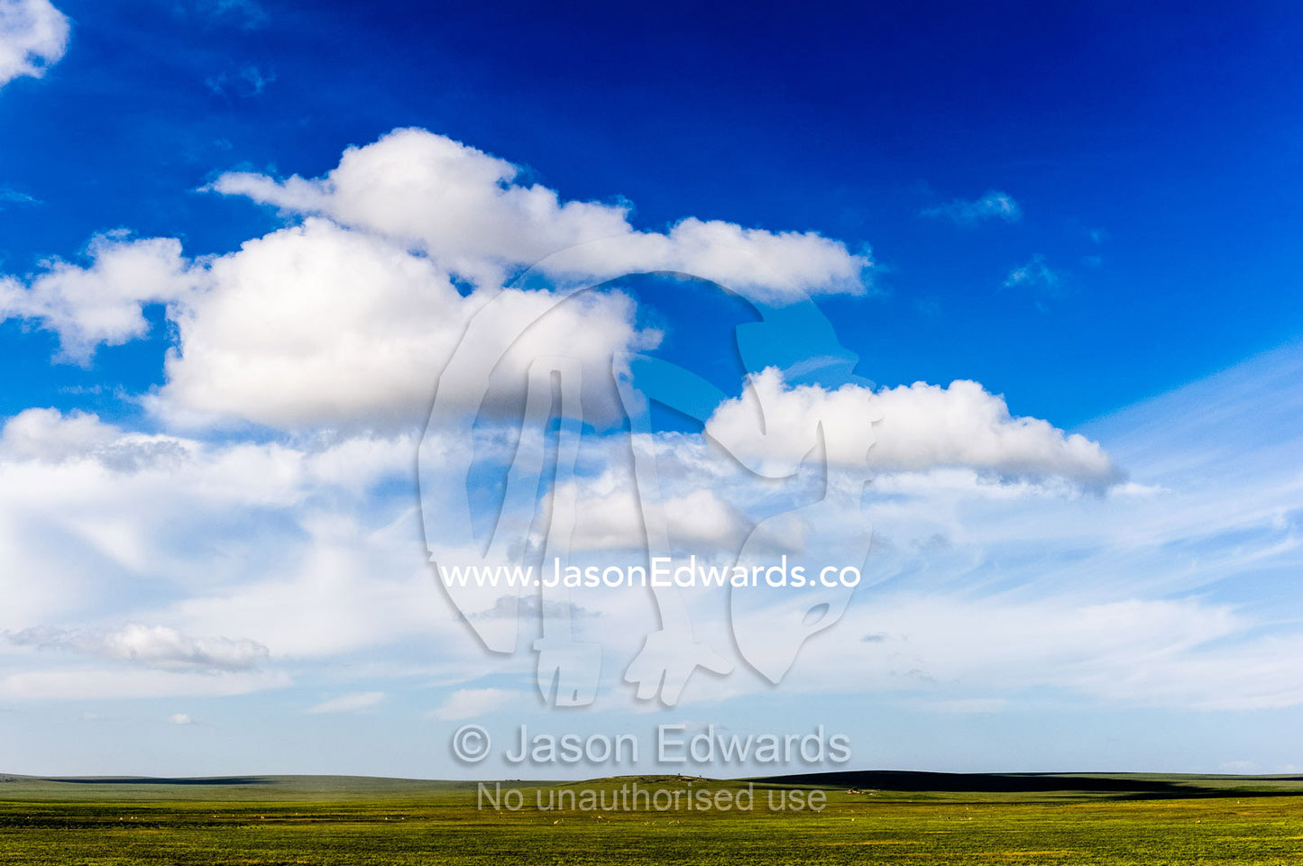 White, fluffy clouds cast shadows as they float over the endless short grass savannah plain. Arusha, Nasera Rock, Angata Kiti Valley, Ngorongoro Conservation Area, Crater Highlands, Tanzania, Africa.
