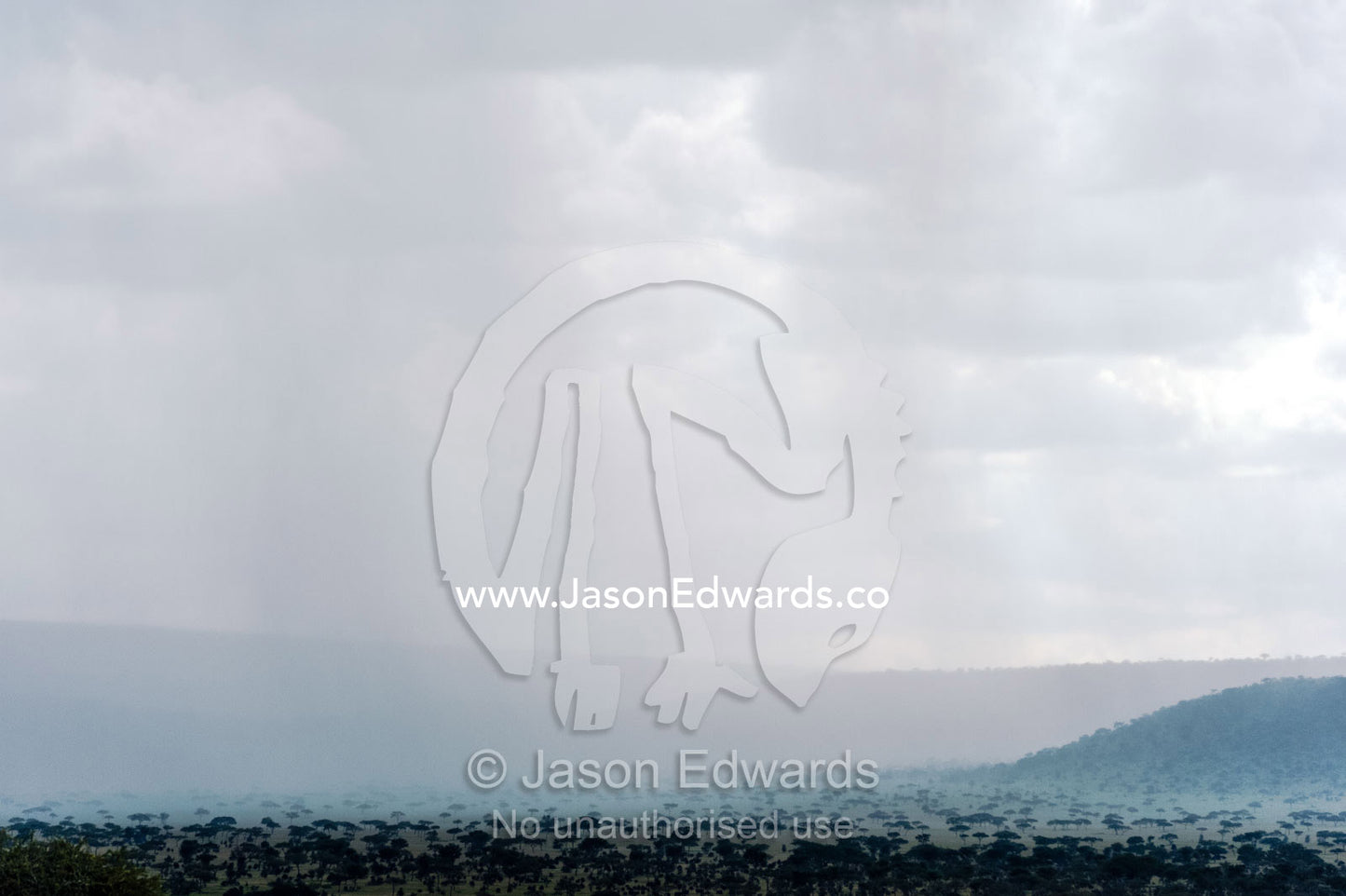 A storm curtains the savannah plain and acacia woodlands in heavy rain. Moru Kopjes, Serengeti National Park, Serengeti, World Heritage Site, Tanzania.
