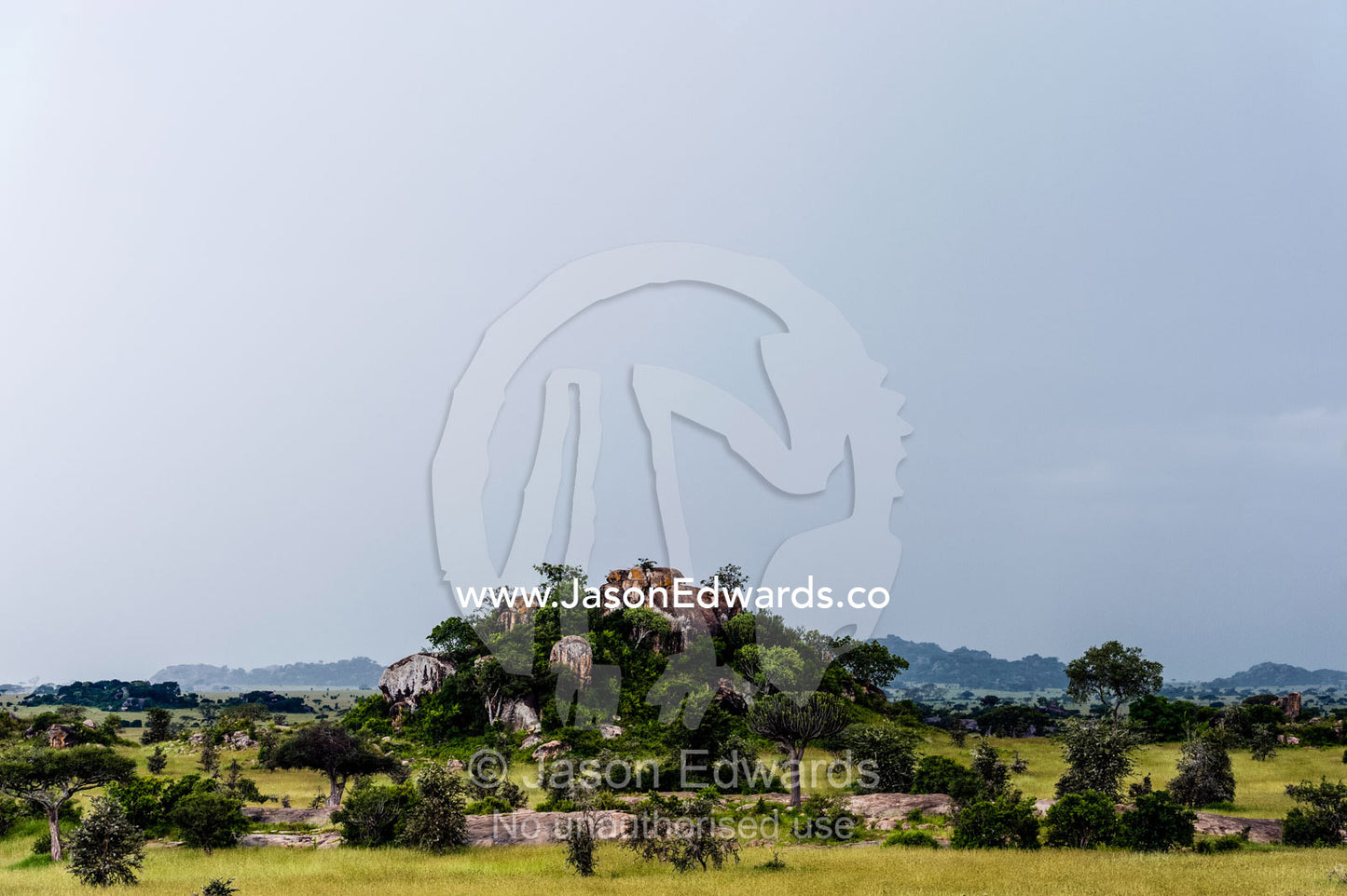 A grey rain storm descend over a granite kopje rising from the savannah grassland. Moru Kopjes, Serengeti National Park, Serengeti, World Heritage Site, Tanzania.