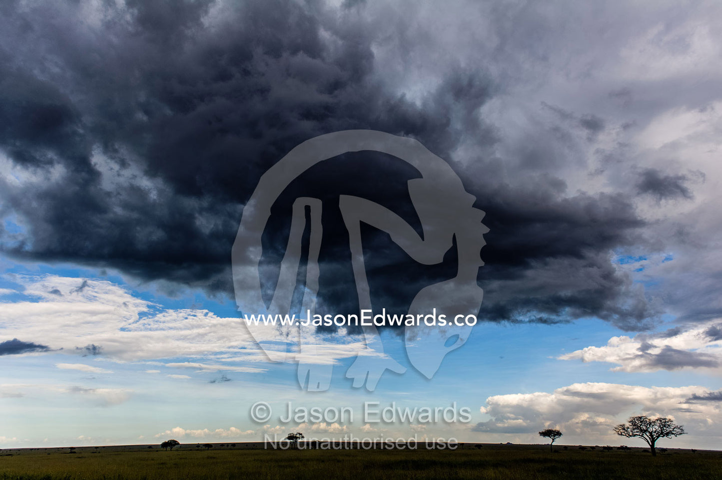 A dense, black rain cloud hangs in the sky above umbrella Acacia trees on the savannah plain. Serengeti National Park, Serengeti, World Heritage Site, Tanzania.