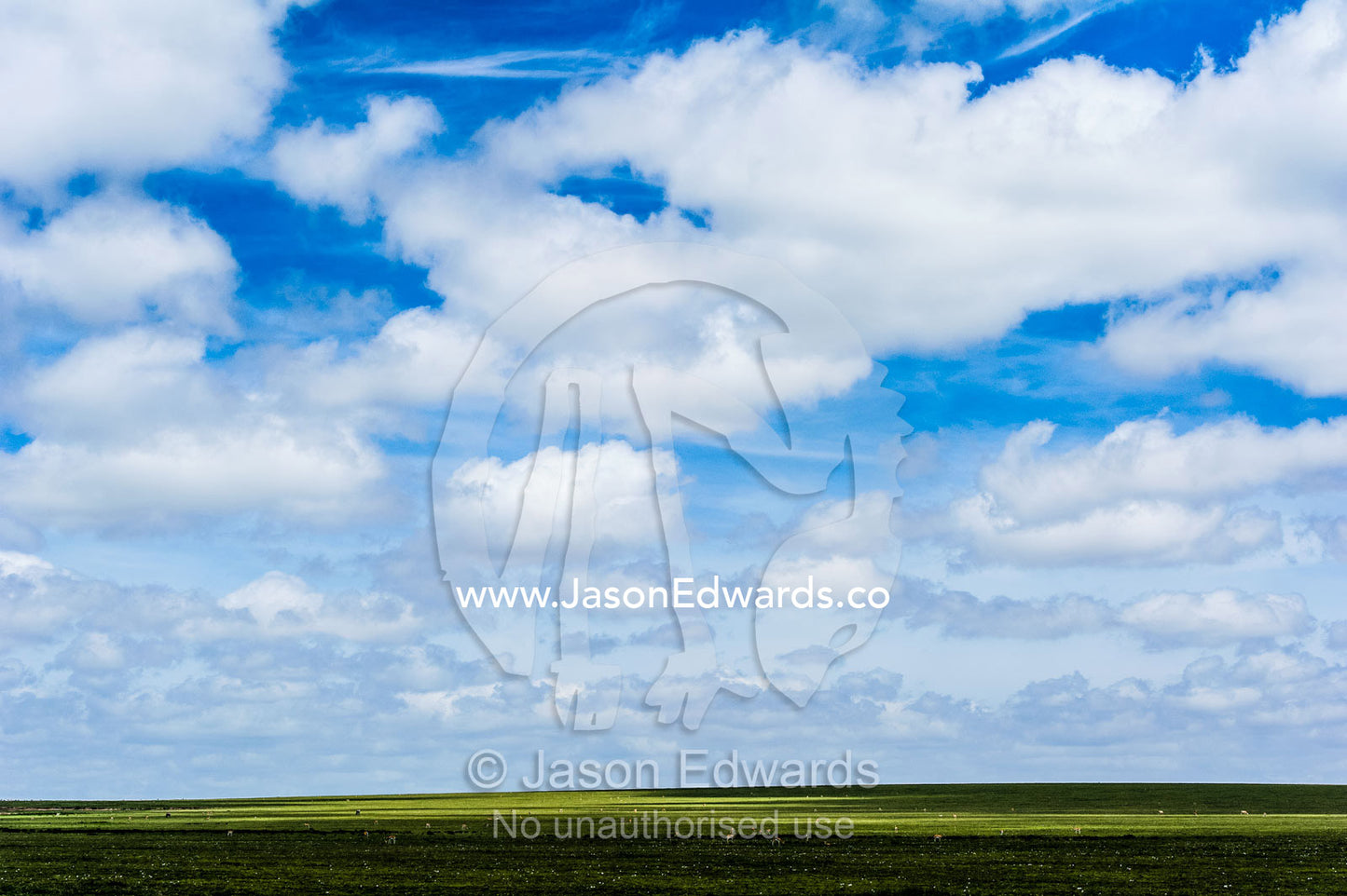 Clouds cast shadows over the vast and featureless short grass savannah plain and grazing herds. Ngorongoro Conservation Area, Ngorongoro District, Tanzania, Africa.