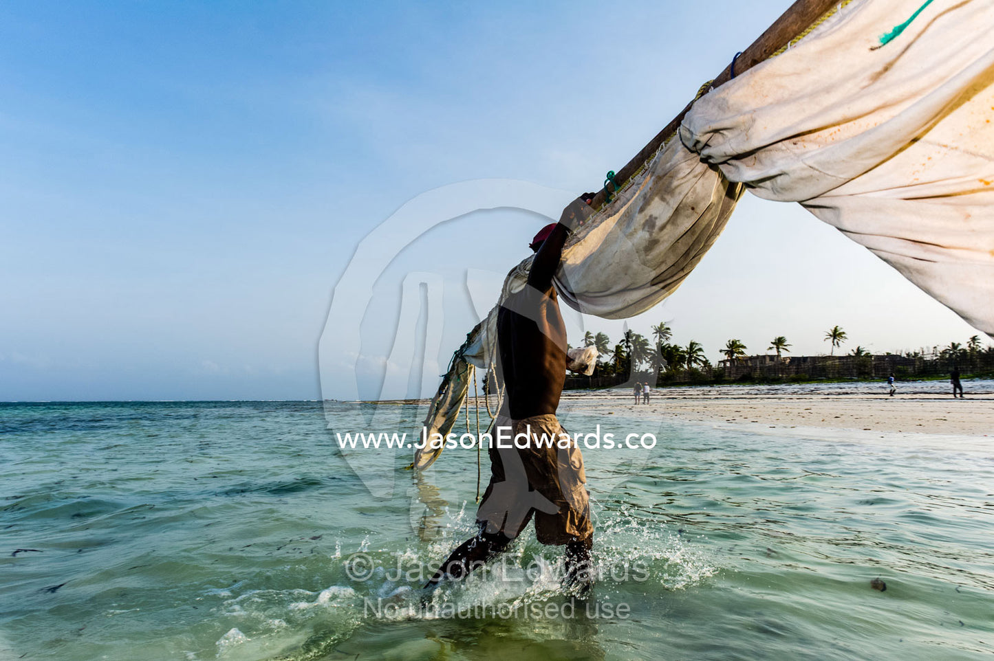 A fisherman carries the tarpaulin sail and mast from his wooden trimaran sailing dhow to shore at sunset. Bwejuu, Unguja Island, Zanzibar, Tanzania, Africa.