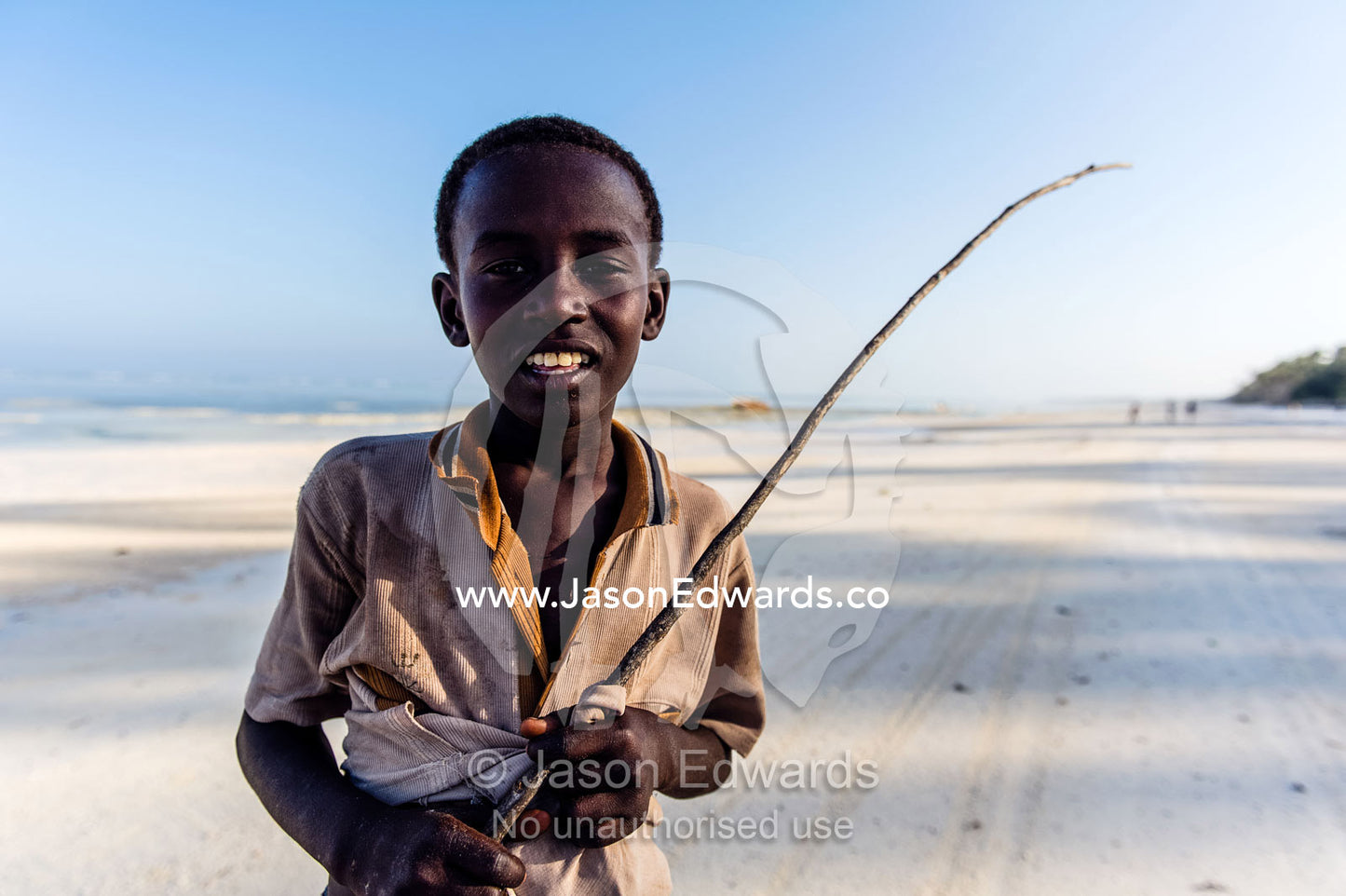 A young boy with his cane herding his family cattle along a deserted beach on a tropical island. Bwejuu, Echo Beach, Unguja Island, Zanzibar, Tanzania.