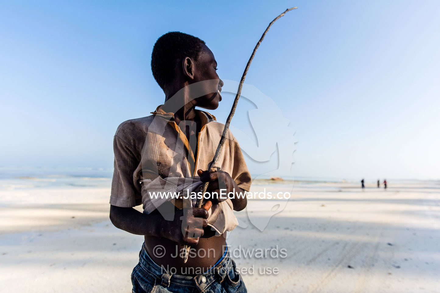A young boy with a cane herding his family cattle along a deserted tropical island beach. Bwejuu, Echo Beach, Unguja Island, Zanzibar, Tanzania.