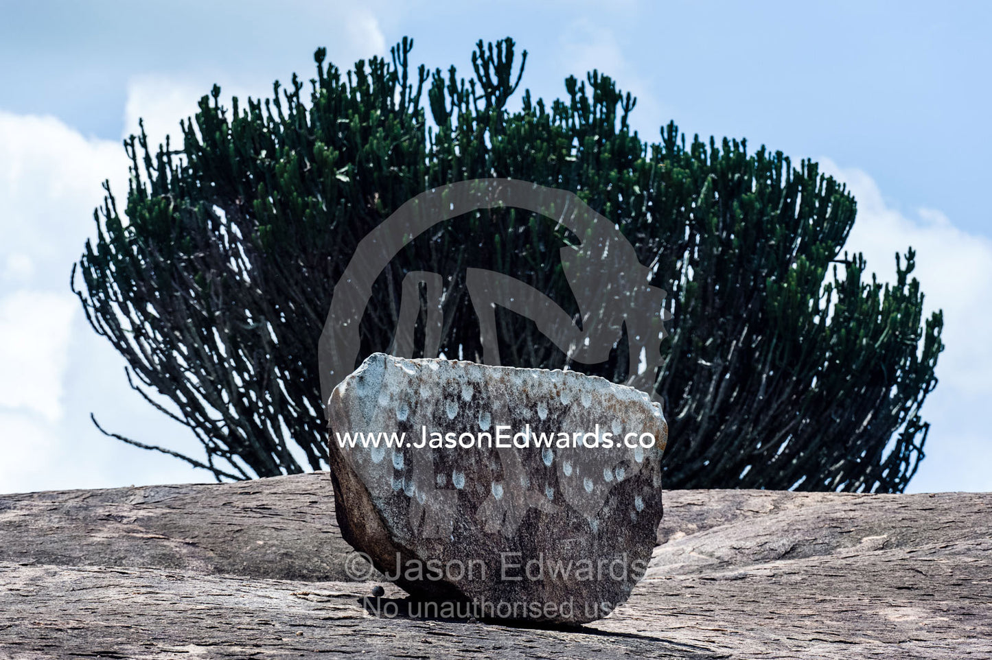 Ancient Masai rock art at a meeting site on the top of a granite outcrop known a s a kopje. Ngong Rocks, Moru Kopjes, Serengeti National Park, Serengeti, World Heritage Site, Tanzania.