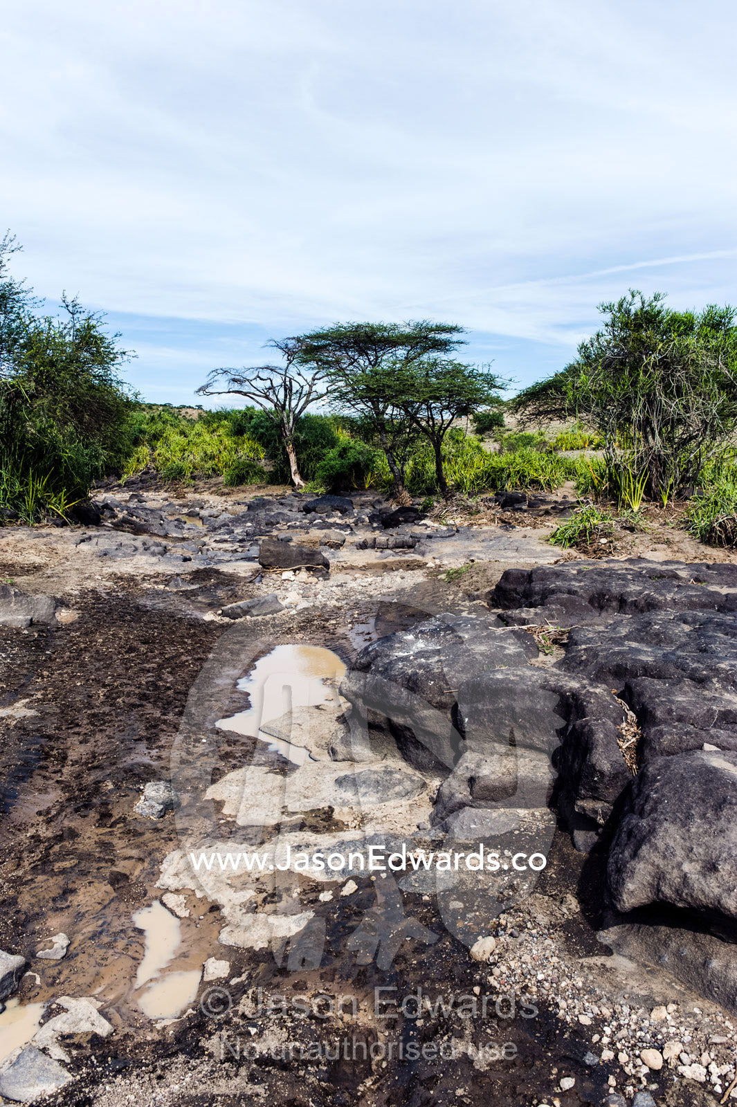 Muddy puddles dwindling beside eroded rocks in a dry river bed. Olduvai Gorge, Ngorongoro Conservation Area, Serengeti Plains, Arusha District, Tanzania.