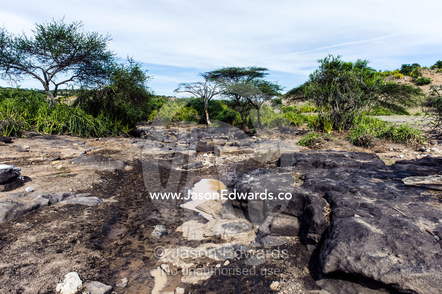 Muddy puddles dwindling beside eroded rocks in a dry river bed. Olduvai Gorge, Ngorongoro Conservation Area, Serengeti Plains, Arusha District, Tanzania.