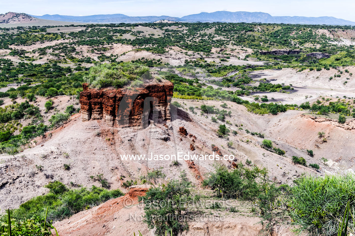 An arid gorge where the ancient remains of human ancestors have been found during archaeological excavations. Olduvai Gorge, Ngorongoro Conservation Area, Serengeti Plains, Arusha District, Tanzania.