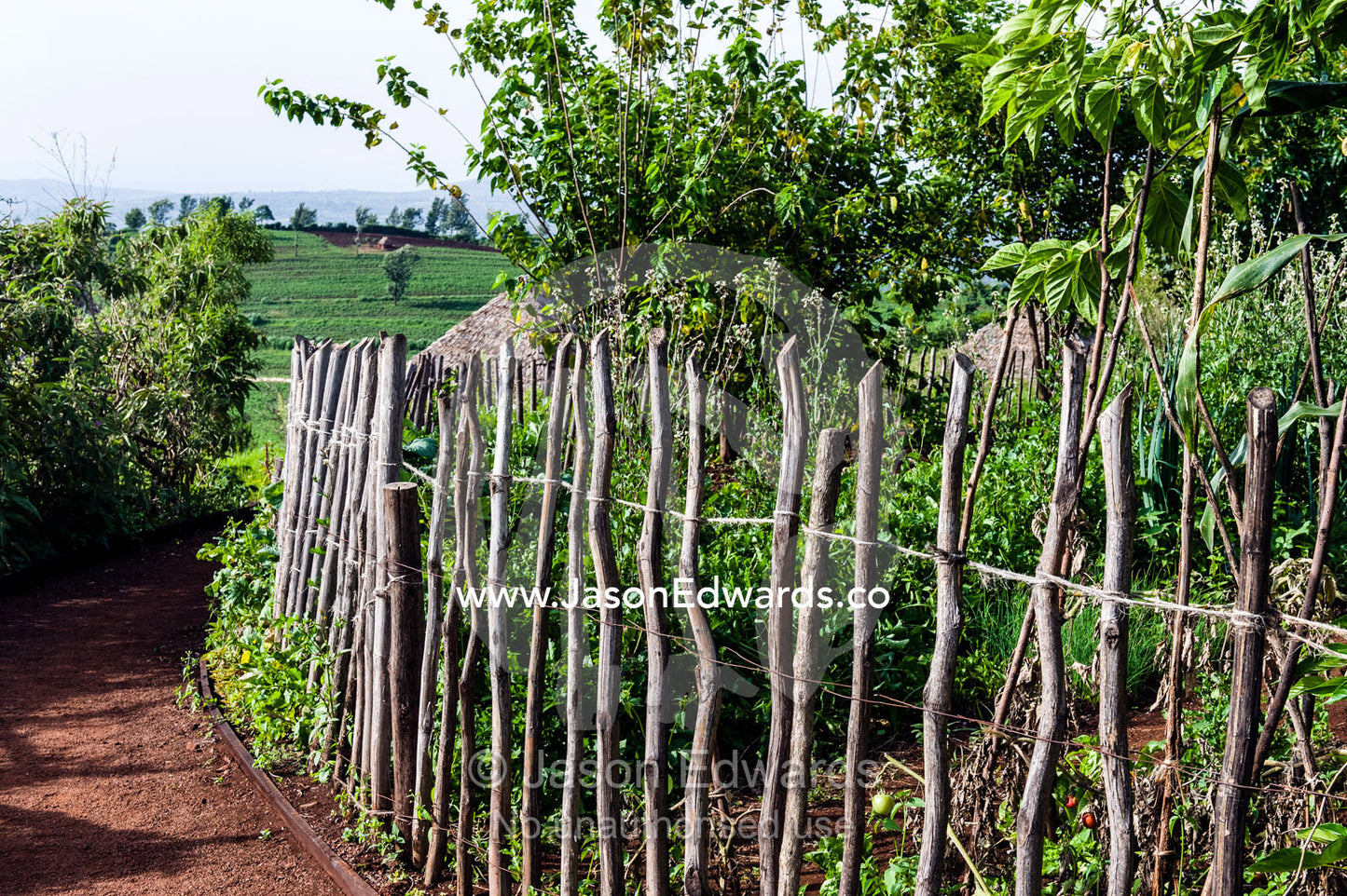 A roughly hewn picket fence surrounding an organic vegetable garden on a hillside. Karatu, Rhotia Valley Lodge, Rhotia Valley, Karatu District, Arusha Region, Tanzania.
