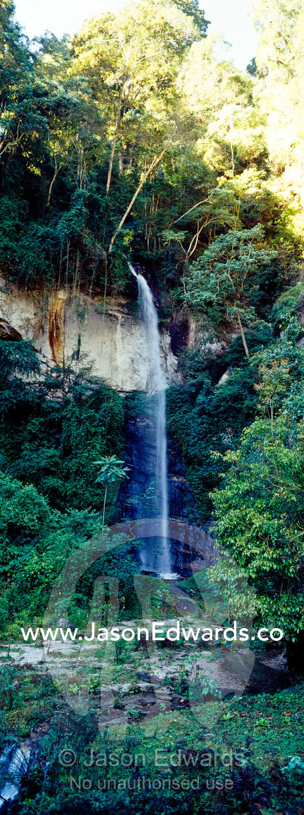 A waterfall cascades over a cliff in a curtain of mist from a dense mountain forest. Jigme Dorji National Park, Gasa District, Bhutan.
