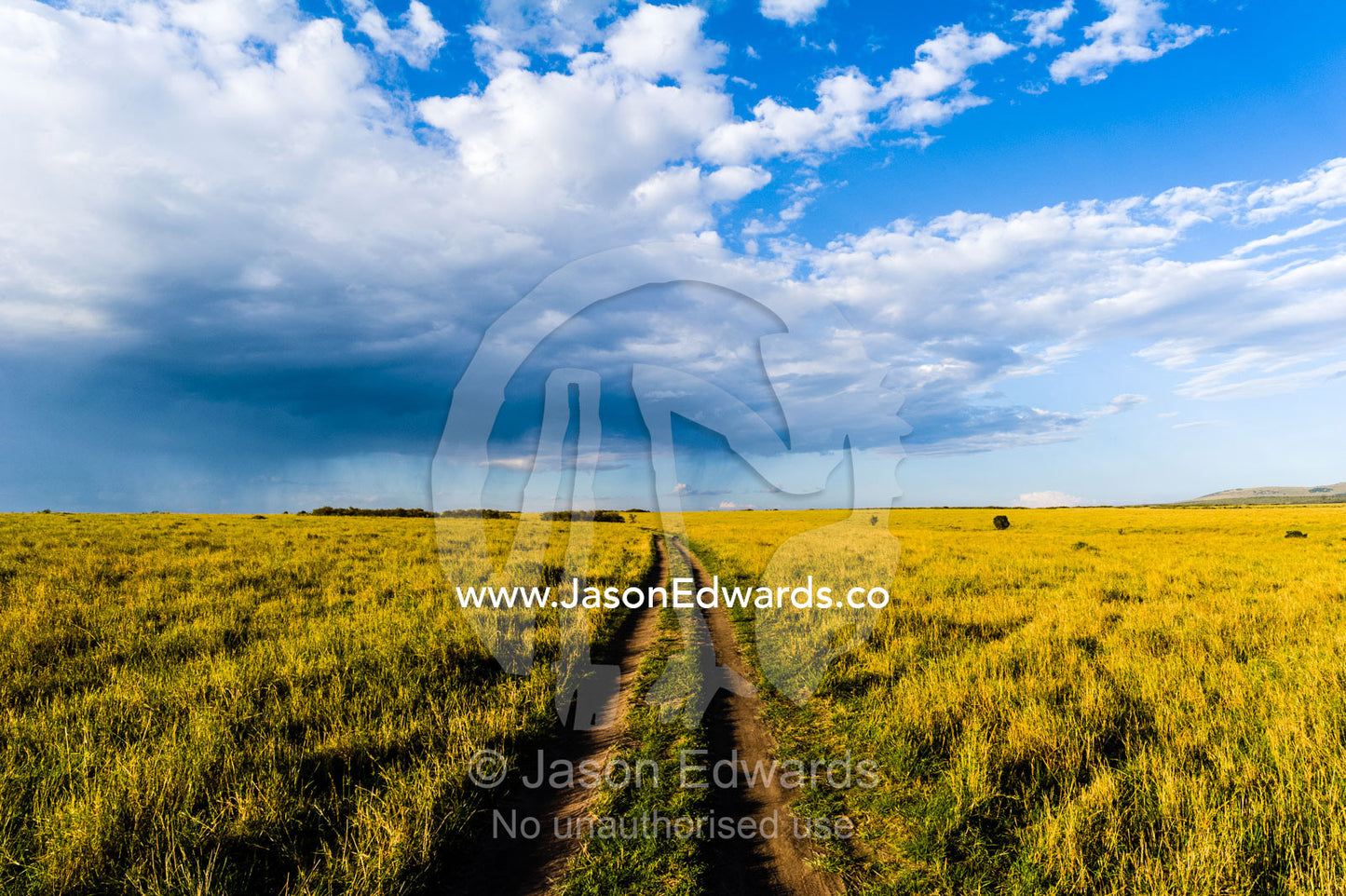 A set of 4wd vehicle tracks disappear across a savannah plain towards the horizon at sunset. Maasai Mara National Reserve, Narok County, Kenya.
