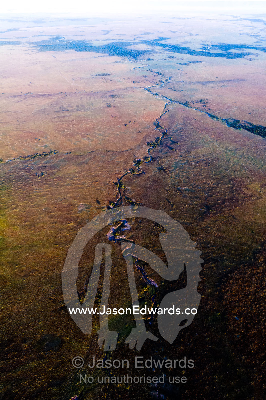 Dawn highlights erosion from a river winding it's way across the vast African short grass savannah plains. Maasai Mara National Reserve, Masai Mara, Narok County, Kenya.