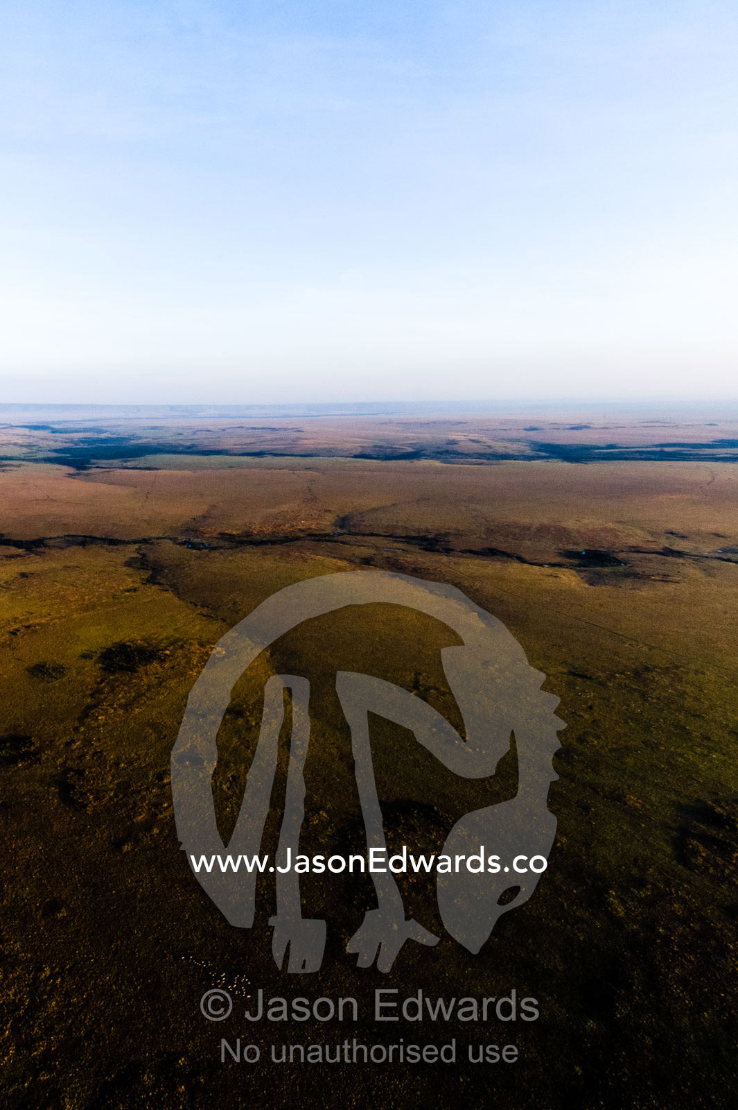 An aerial view of erosion from rivers creating forks and folds in the flat savannah plain. Maasai Mara National Reserve, Masai Mara, Narok County, Kenya.