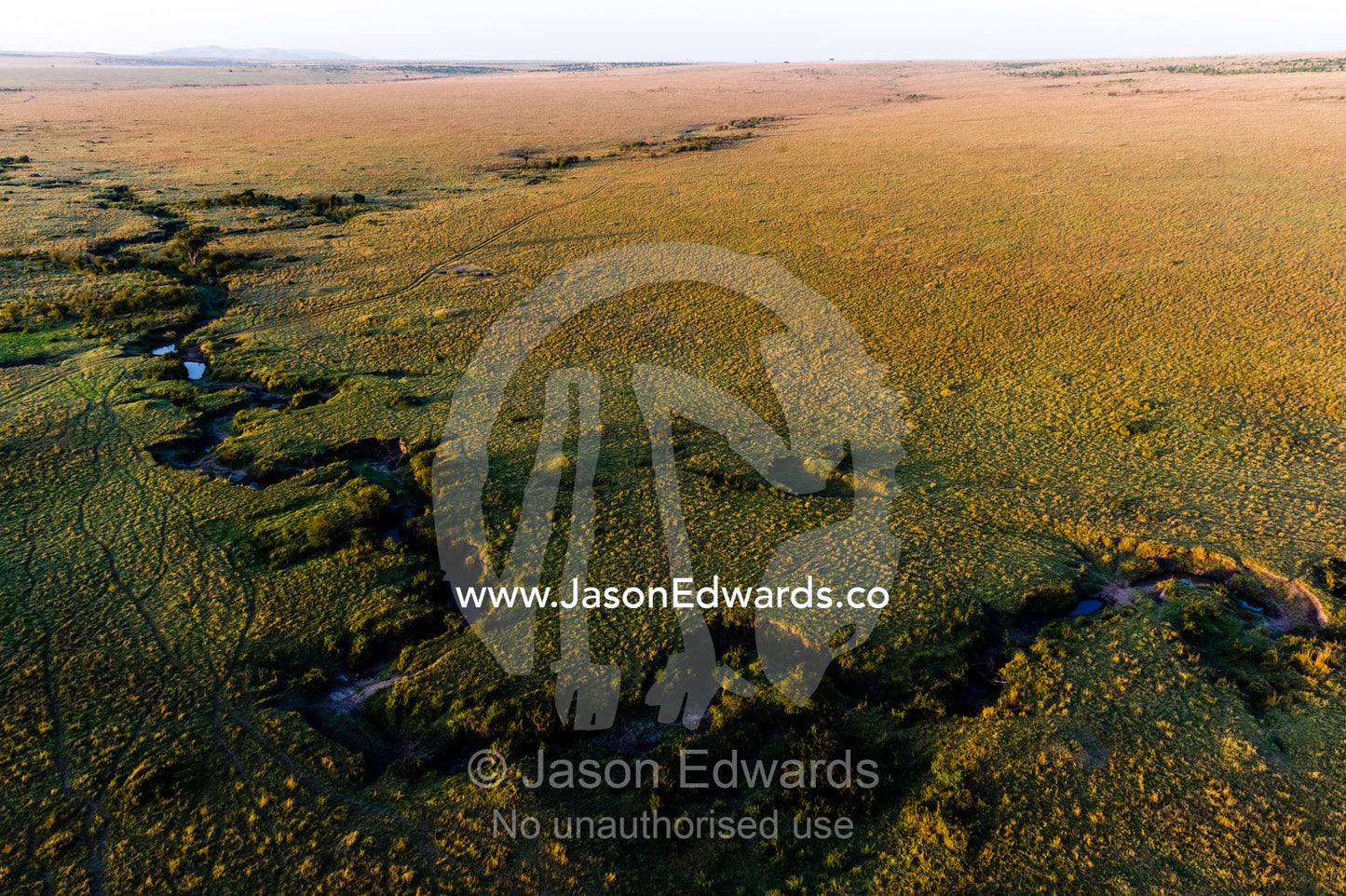An aerial view of the Mara River winding it's way across the vast short grass savannah plain. Maasai Mara National Reserve, Masai Mara, Narok County, Kenya.