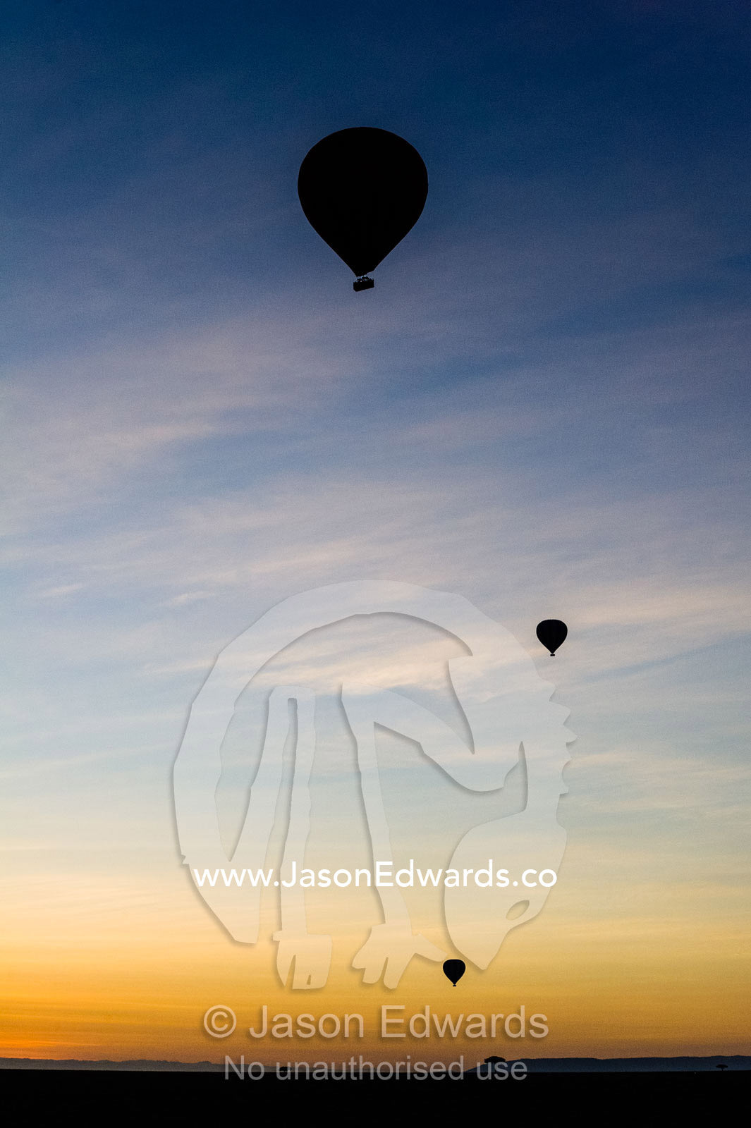 The silhouette of hot air balloons rising into the pre-dawn sky above the dark African savannah plain. Maasai Mara National Reserve, Masai Mara, Narok County, Kenya.