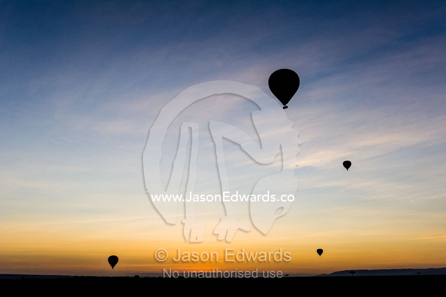 The silhouette of hot air balloons rising into the pre-dawn sky above the dark African savannah plain. Maasai Mara National Reserve, Masai Mara, Narok County, Kenya.