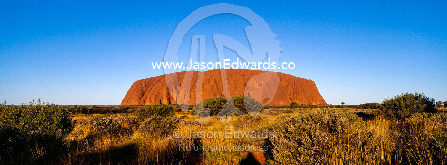 The ochre walls of Uluru rise above the flat desert plain in Australia's outback. Uluru Kata Tjuta National Park, Northern Territory, Australia.