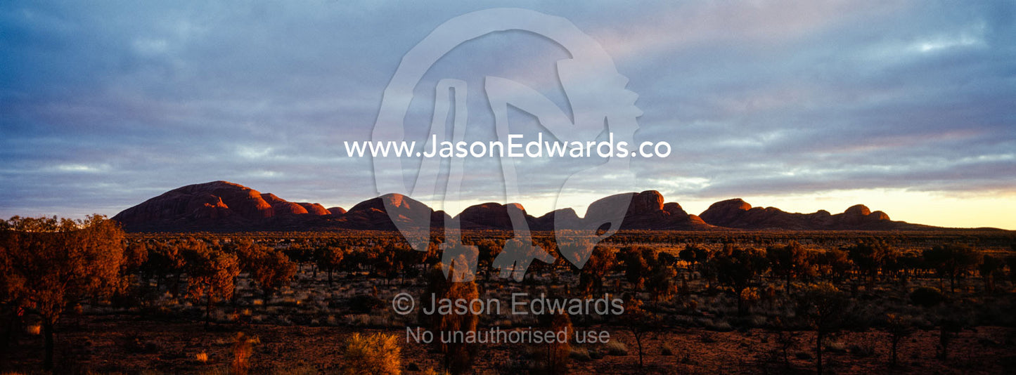 A row of ochre sandstone domes and gorges blaze red in the dawn sunlight. Uluru Kata Tjuta National Park, Northern Territory, Australia.