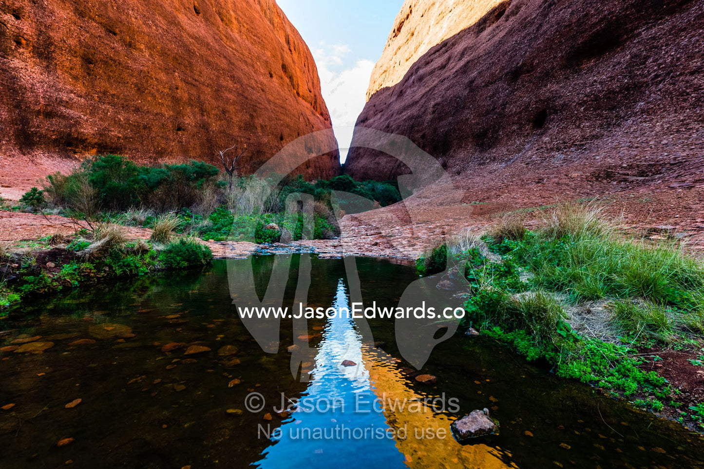 A sandstone wall reflected in a pool of water in a desert gorge, an oasis for wildlife and plants. Uluru Kata Tjuta National Park, Northern Territory, Australia.