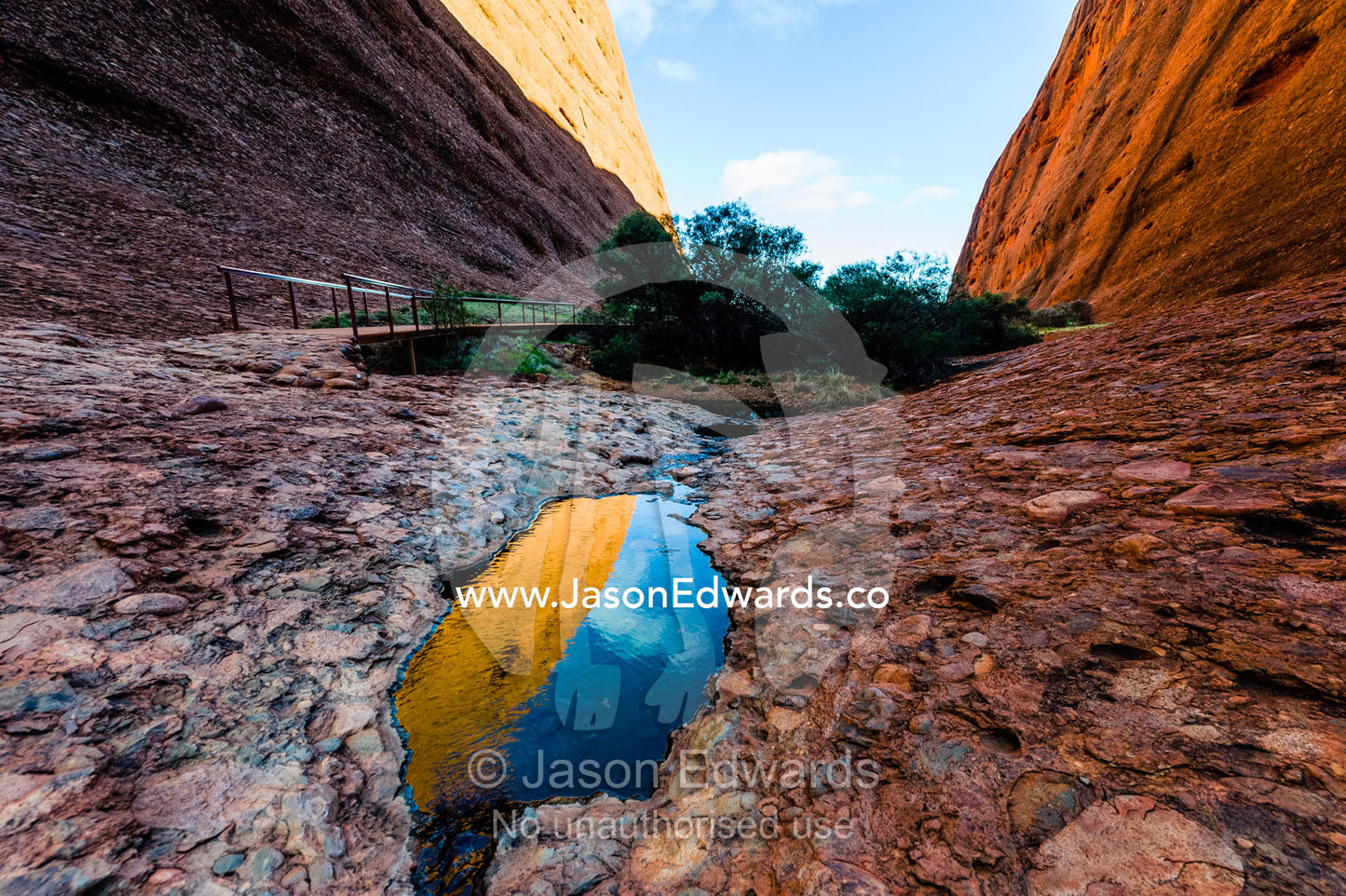 A sandstone wall reflected in a pool of water in a desert gorge, an oasis for wildlife and plants. Uluru Kata Tjuta National Park, Northern Territory, Australia.