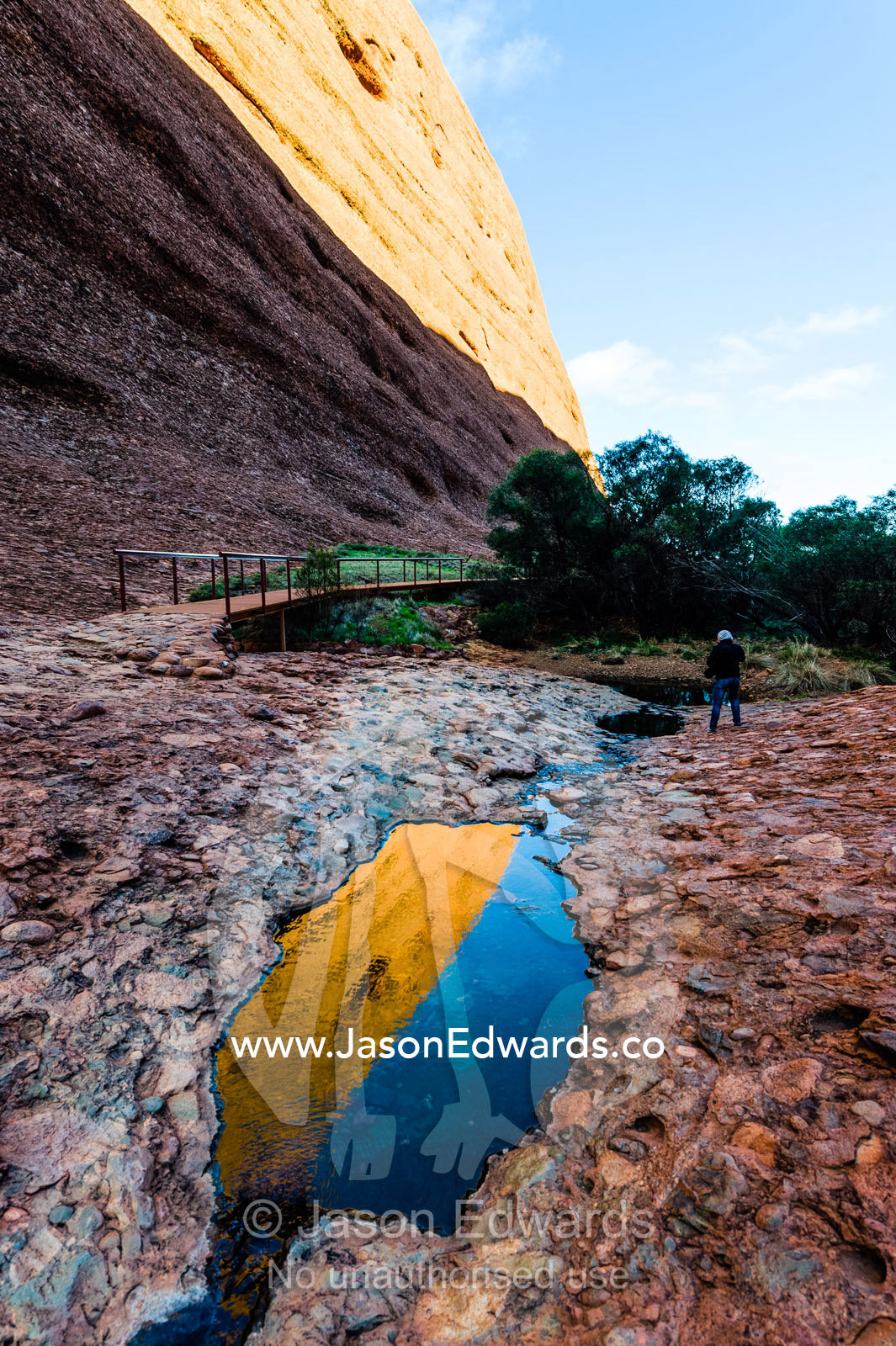 A sandstone wall reflected in a pool of water in a desert gorge, an oasis for wildlife and plants. Uluru Kata Tjuta National Park, Northern Territory, Australia.