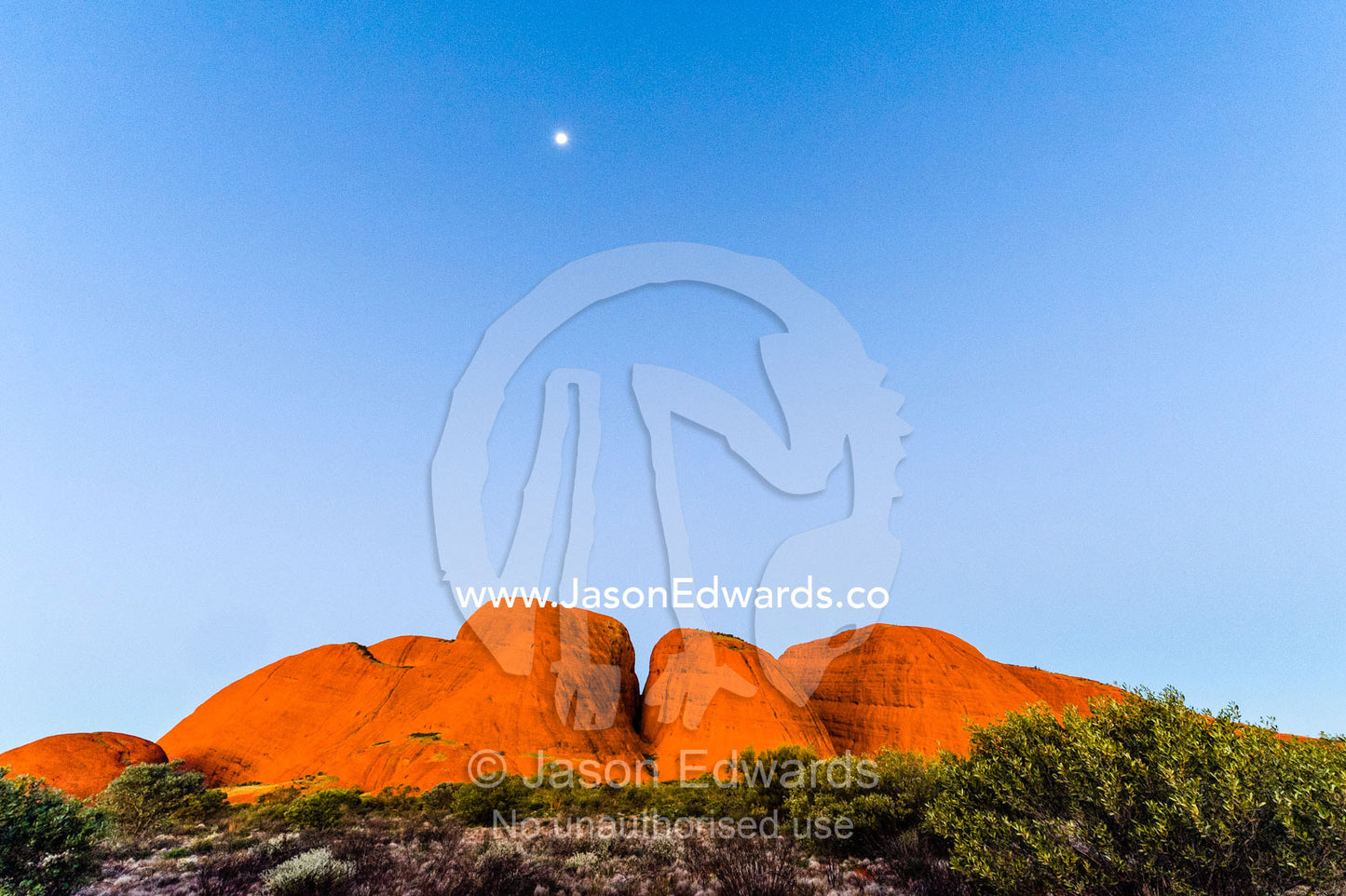 Moonrise in a clear twilight sky climbs over the baking ochre domes of Kata Tjuta. Uluru Kata Tjuta National Park, Northern Territory, Australia.