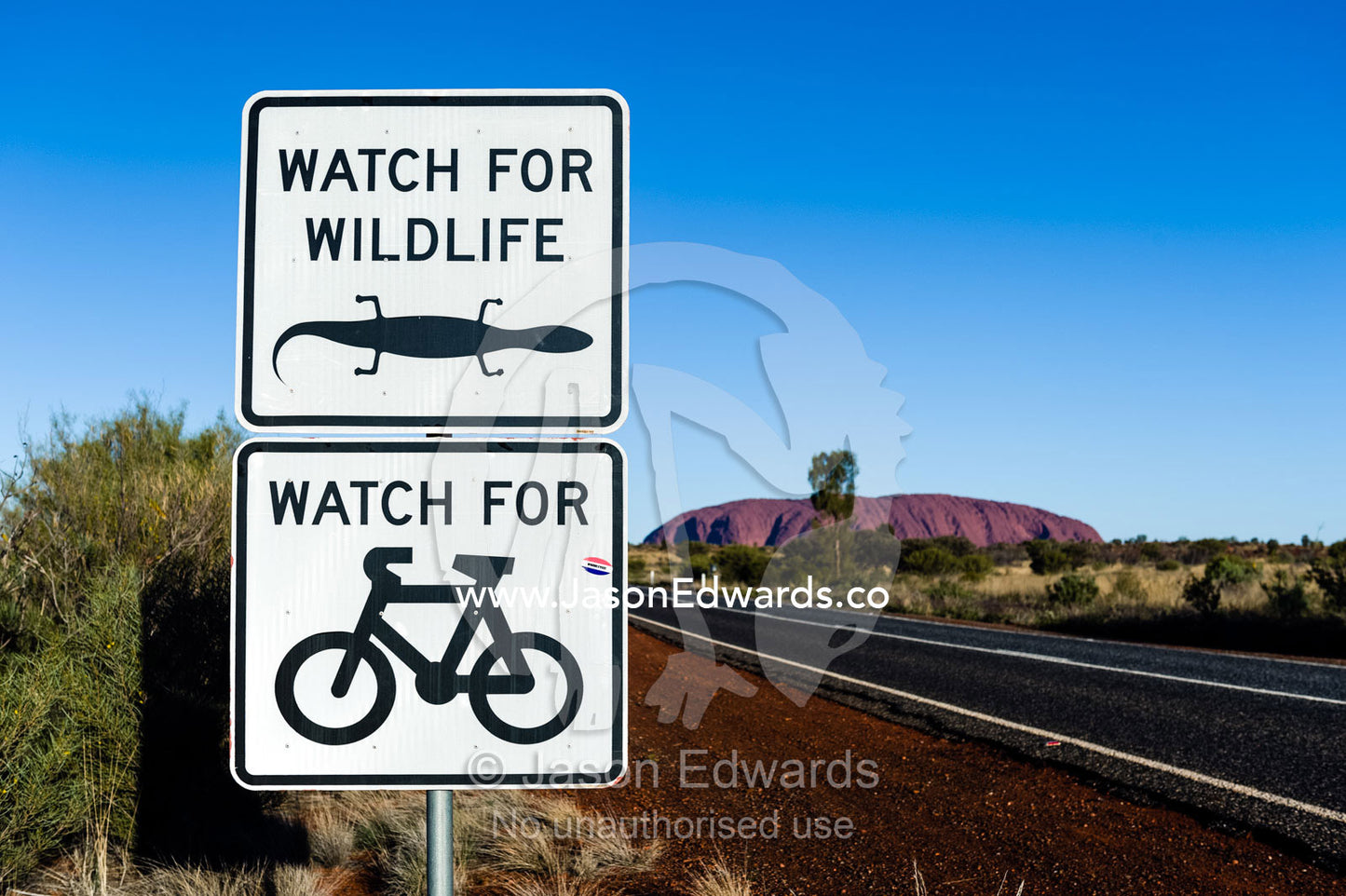 A sign warns cyclists and vehicle drivers to beware of wildlife that might stray onto the road near Uluru. Uluru Kata Tjuta National Park, Northern Territory, Australia.