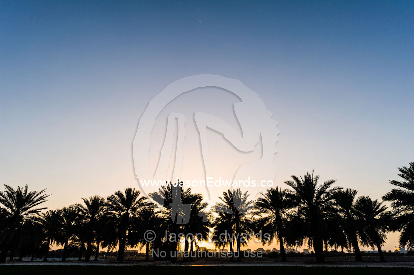 The silhouette of palm trees lining a boulevard at sunset. Sultan Qaboos Grand Mosque, Muscat, Sultanate of Oman.