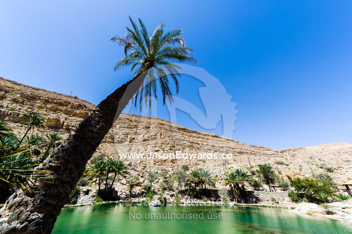 Palm trees grow on the shore by the turquoise waters of a wadi in a desert valley. Wadi Bani Khalid, Sharqiyah Region, Sultanate of Oman.