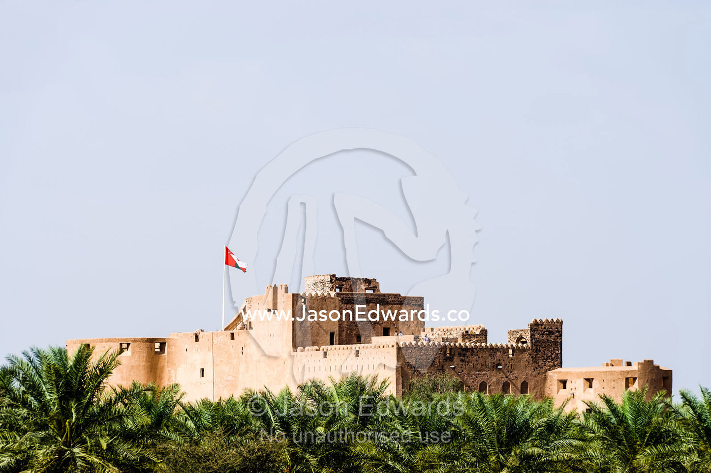 The fortified ramparts of Jabrin Fort tower above a Date Palm plantation. Jabrin Fort, Ad Dakhiliyah Governorate, Sultanate of Oman.